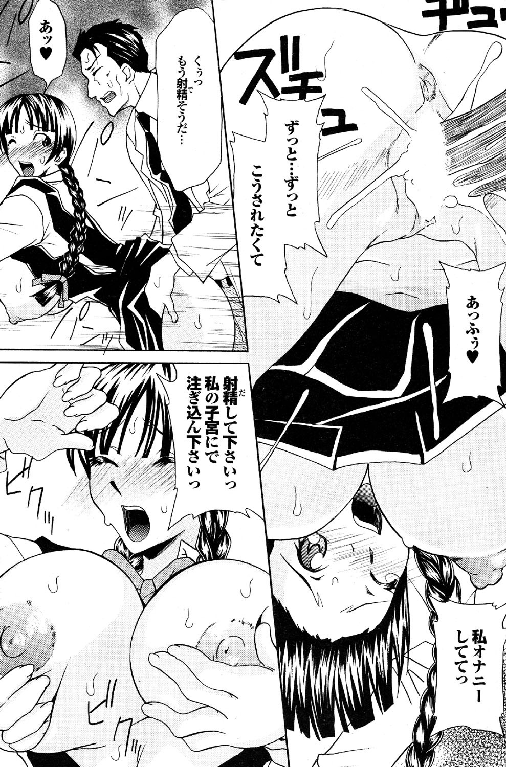 [雑誌] COMICプルメロ 2007年02月号 Vol.4 [DL版]