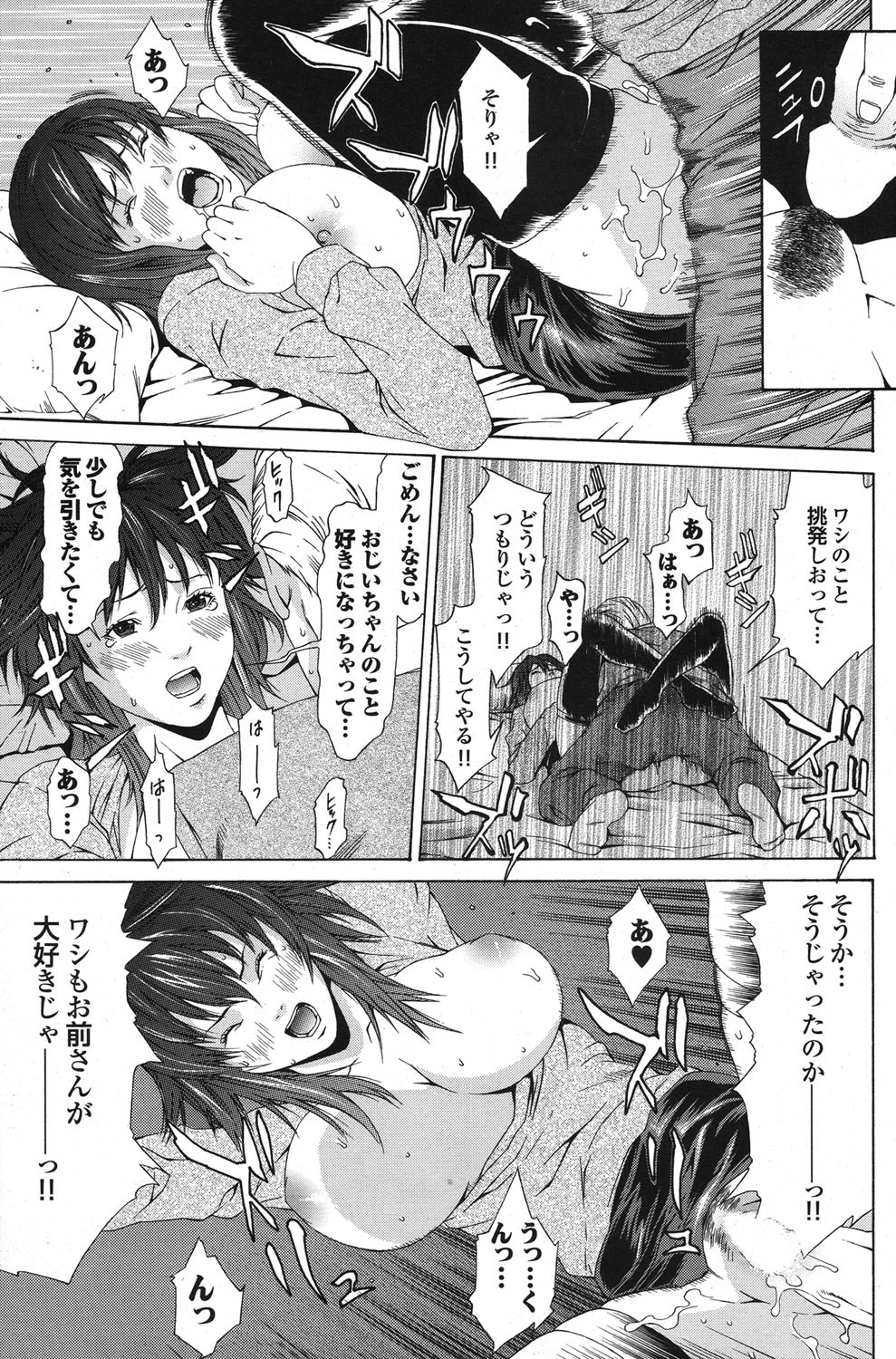 [雑誌] COMICプルメロ 2006年12月号 Vol.3 [DL版]