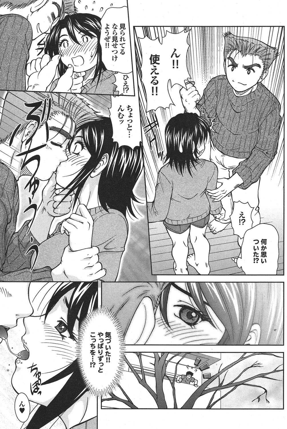 [雑誌] COMICプルメロ 2006年12月号 Vol.3 [DL版]