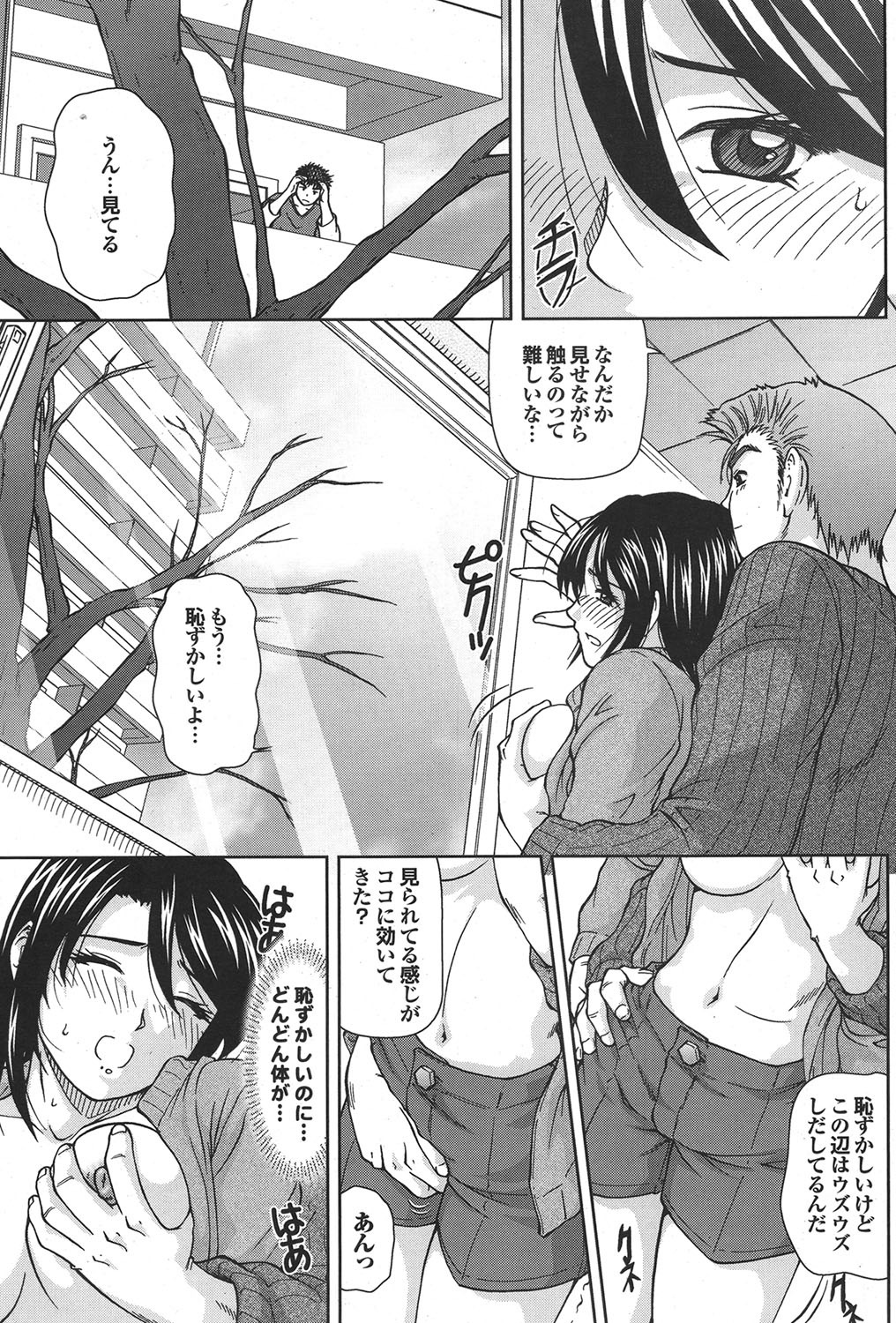 [雑誌] COMICプルメロ 2006年12月号 Vol.3 [DL版]