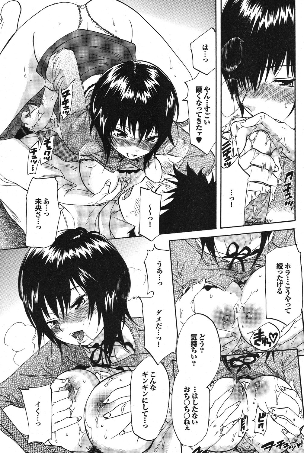 [雑誌] COMICプルメロ 2006年12月号 Vol.3 [DL版]