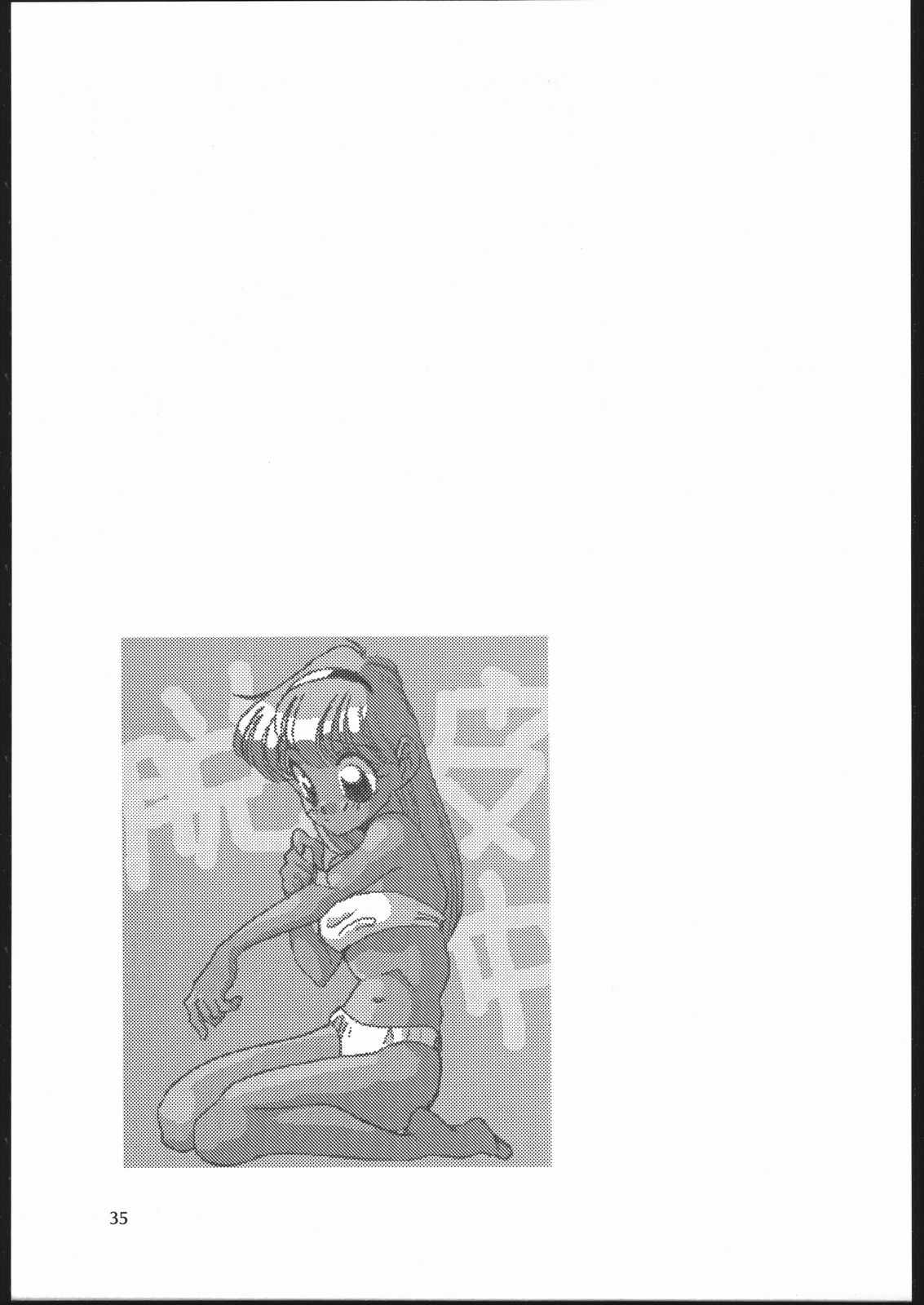 (C46) [ししゃもハウス (あらきあきら)] エルフィン 10 (魔女っ子チックル)