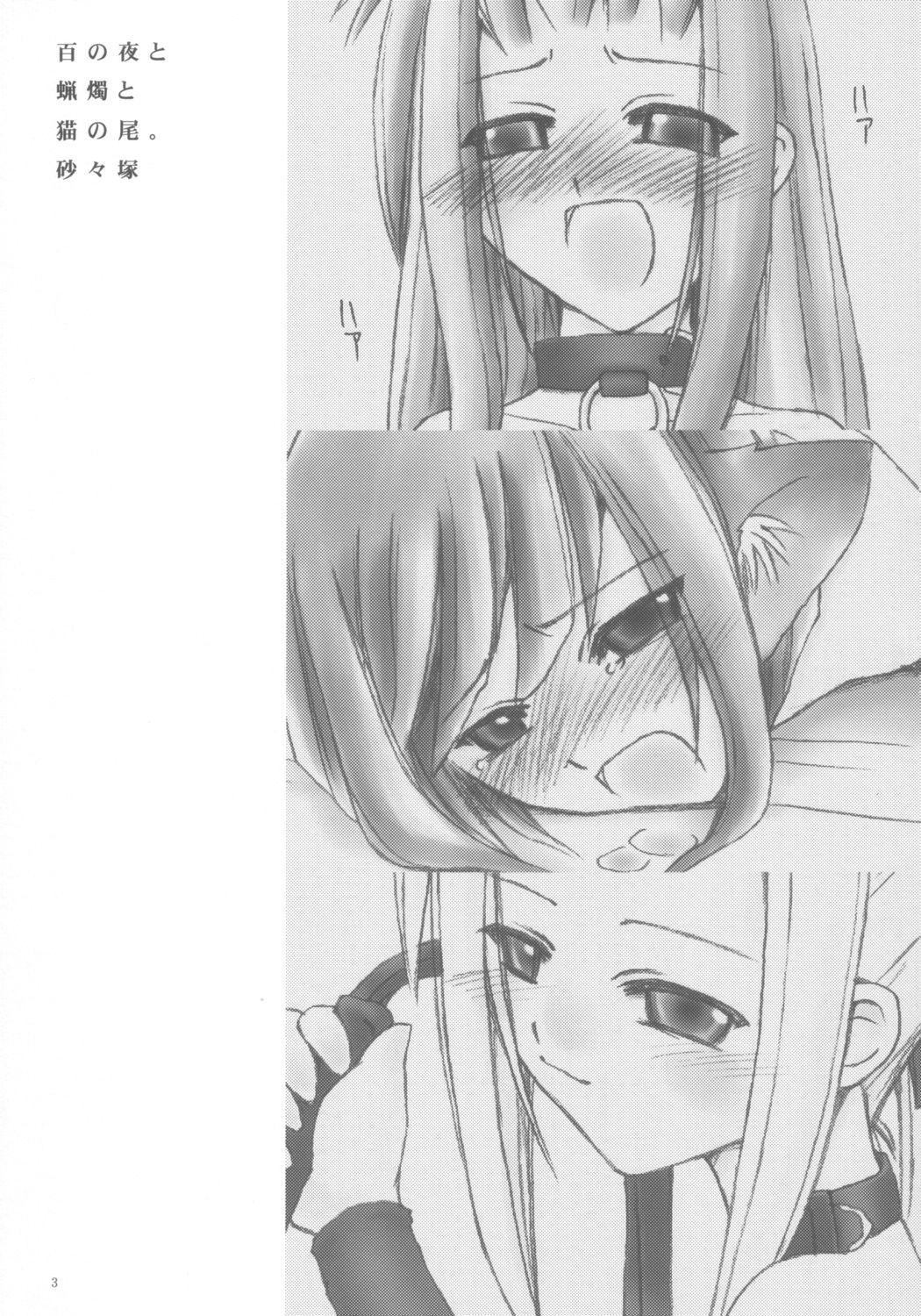 (C65) [砂々塚 (リウヰチ)] 百の夜と蝋燭と猫の尾。