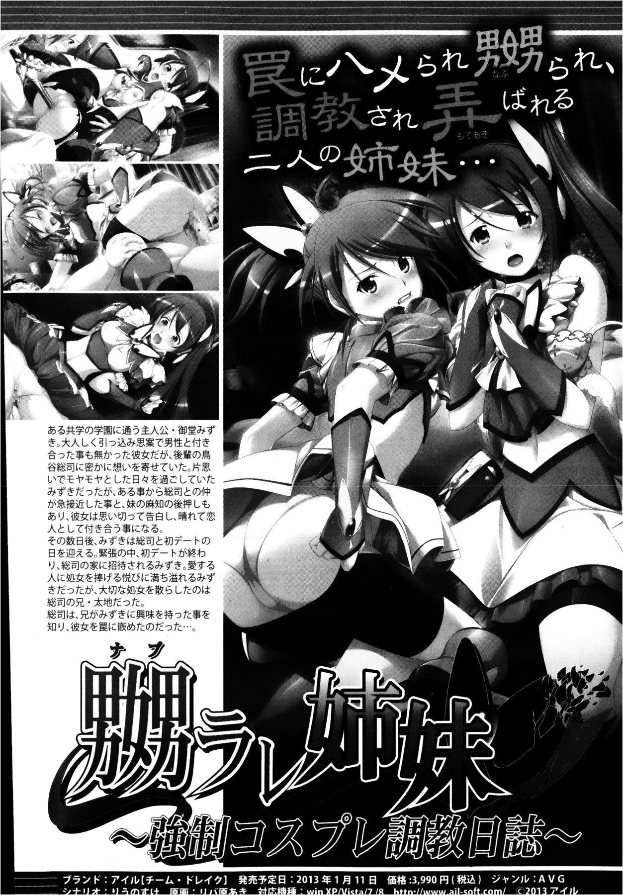 COMIC 真激 2013年2月号