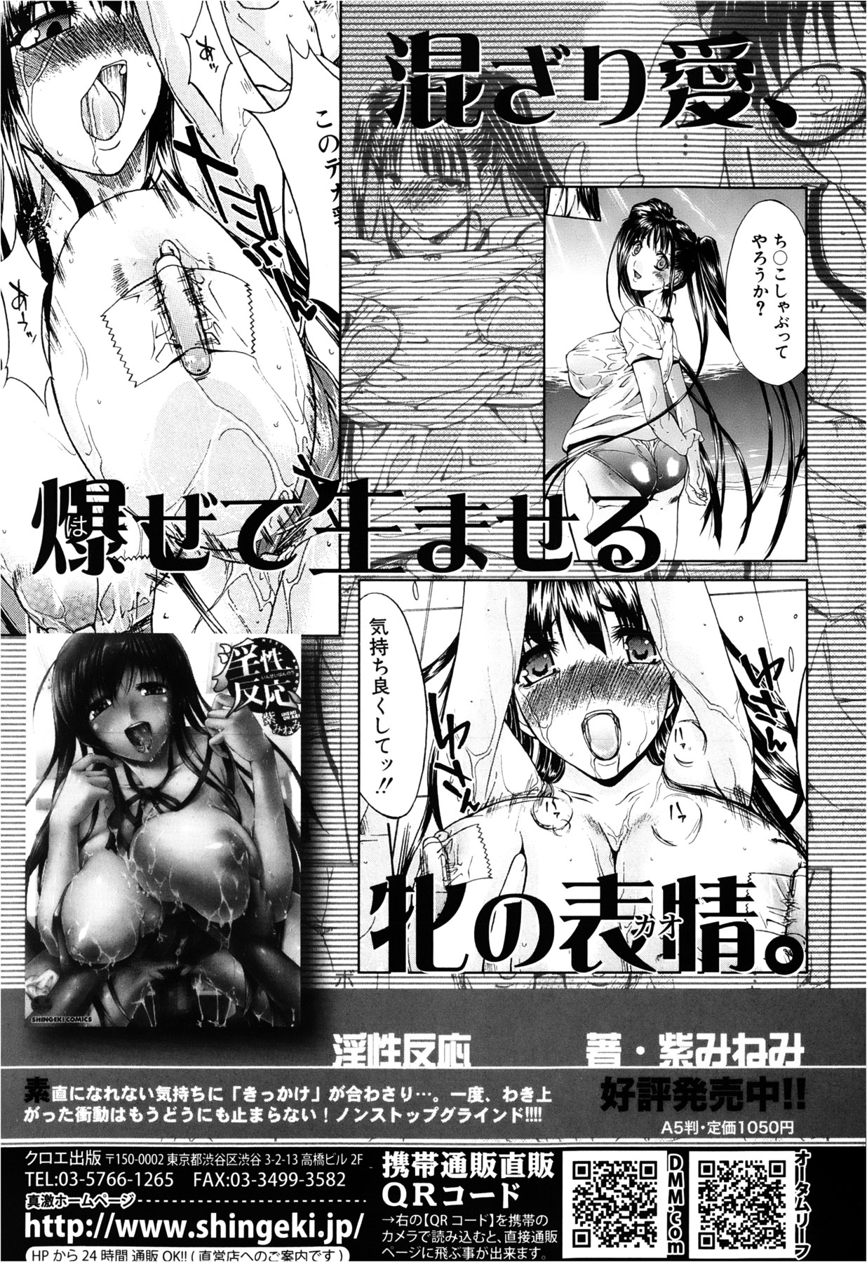 COMIC 真激 2013年2月号