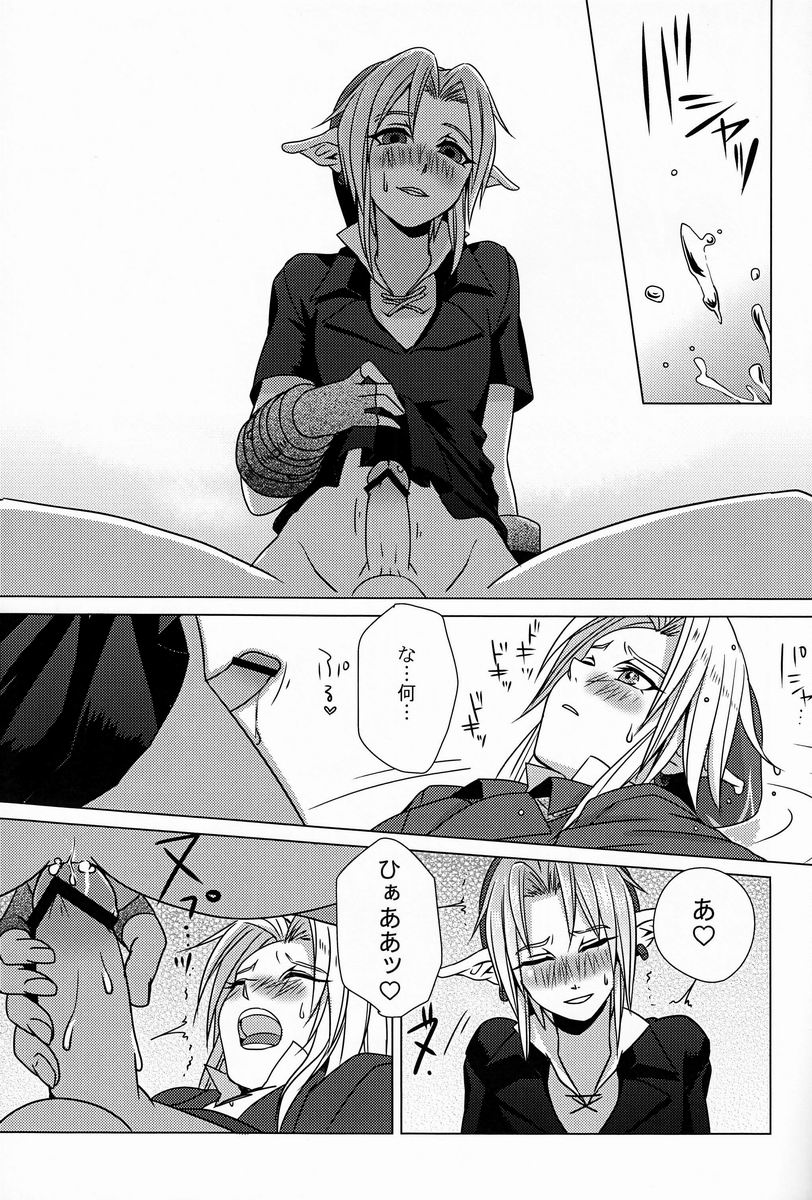 (C83) [Tricot (Stella.Ing)] フロム・ジ・アンダーグラウンド (ゼルダの伝説)