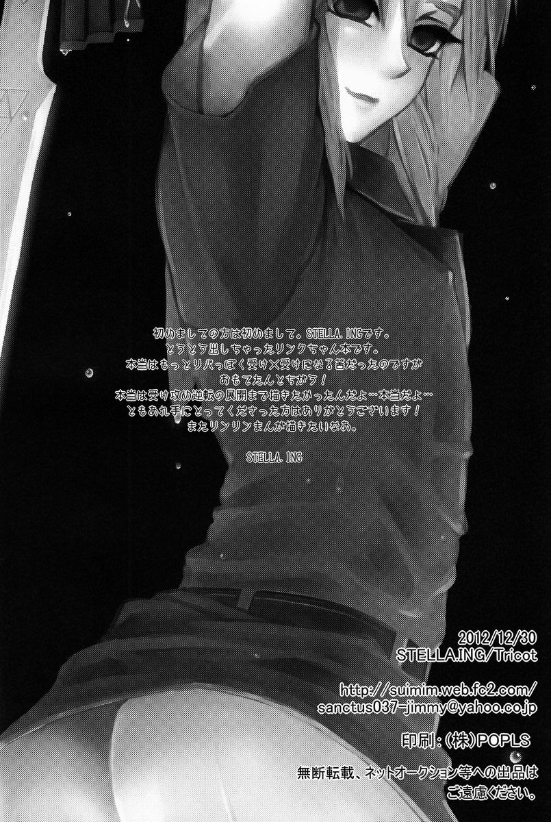 (C83) [Tricot (Stella.Ing)] フロム・ジ・アンダーグラウンド (ゼルダの伝説)