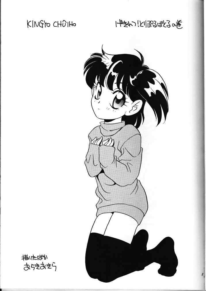 (C49) [ししゃもハウス (あらきあきら)] エルフィン 13 (きんぎょ注意報!)