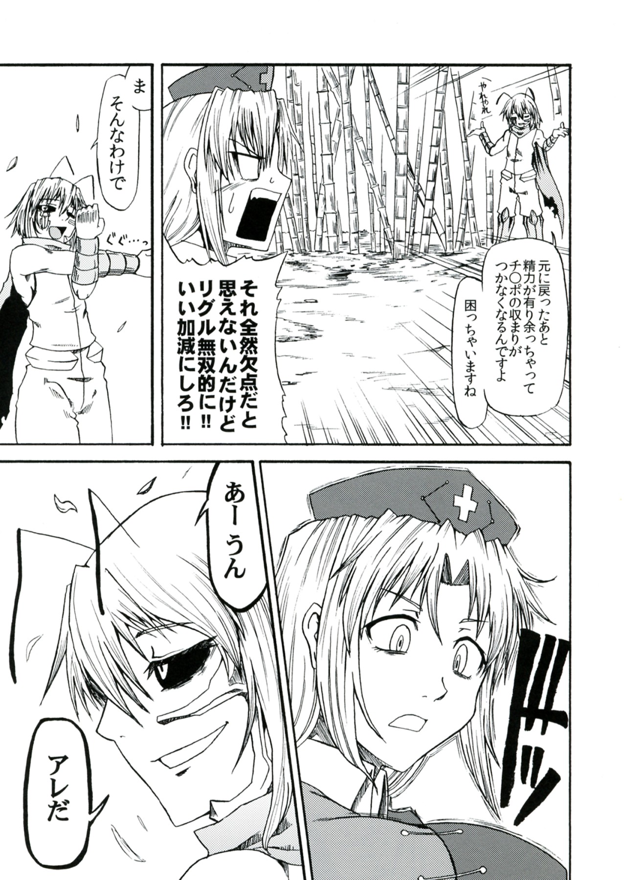 (例大祭9) [リグル総攻め友の会 (よろず)] リグル無双 -History of the Moon 2- (東方Project)