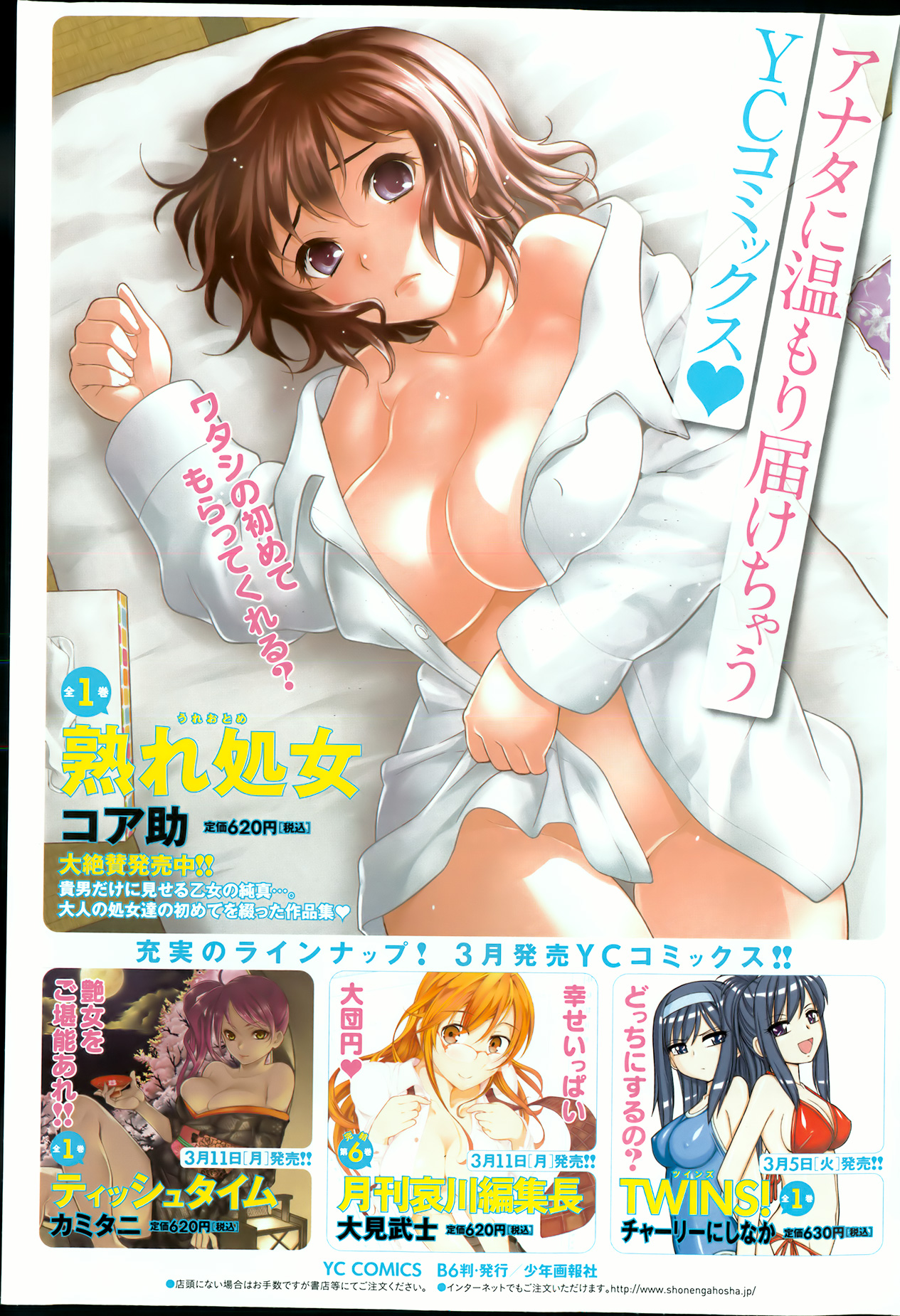 ヤングコミック 2013年3月号