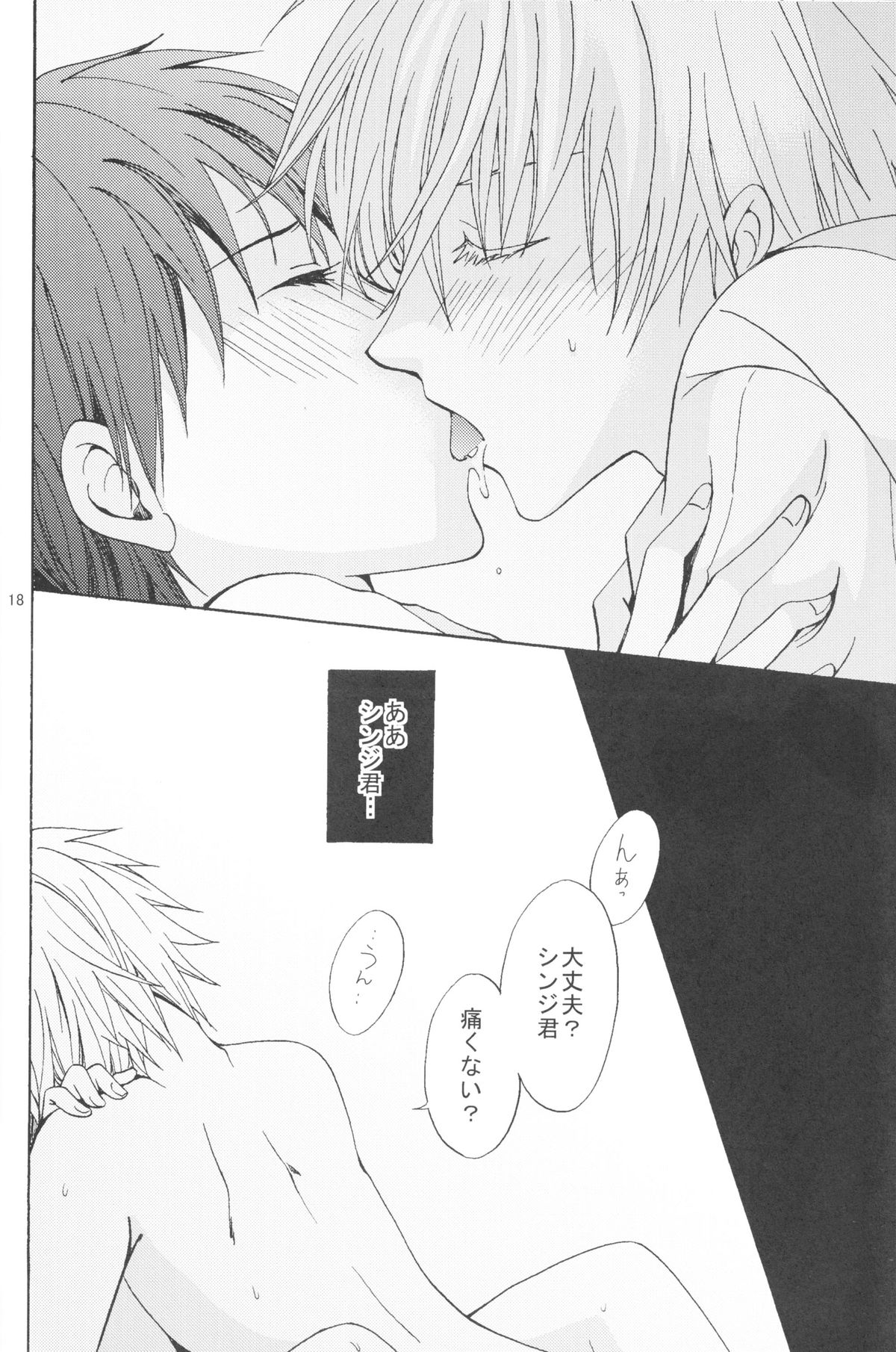 (C83) [プラリネ (鈴鳴なつる)] Nr.9 (新世紀エヴァンゲリオン)