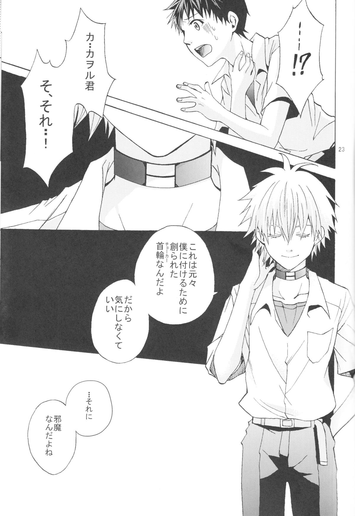 (C83) [プラリネ (鈴鳴なつる)] Nr.9 (新世紀エヴァンゲリオン)