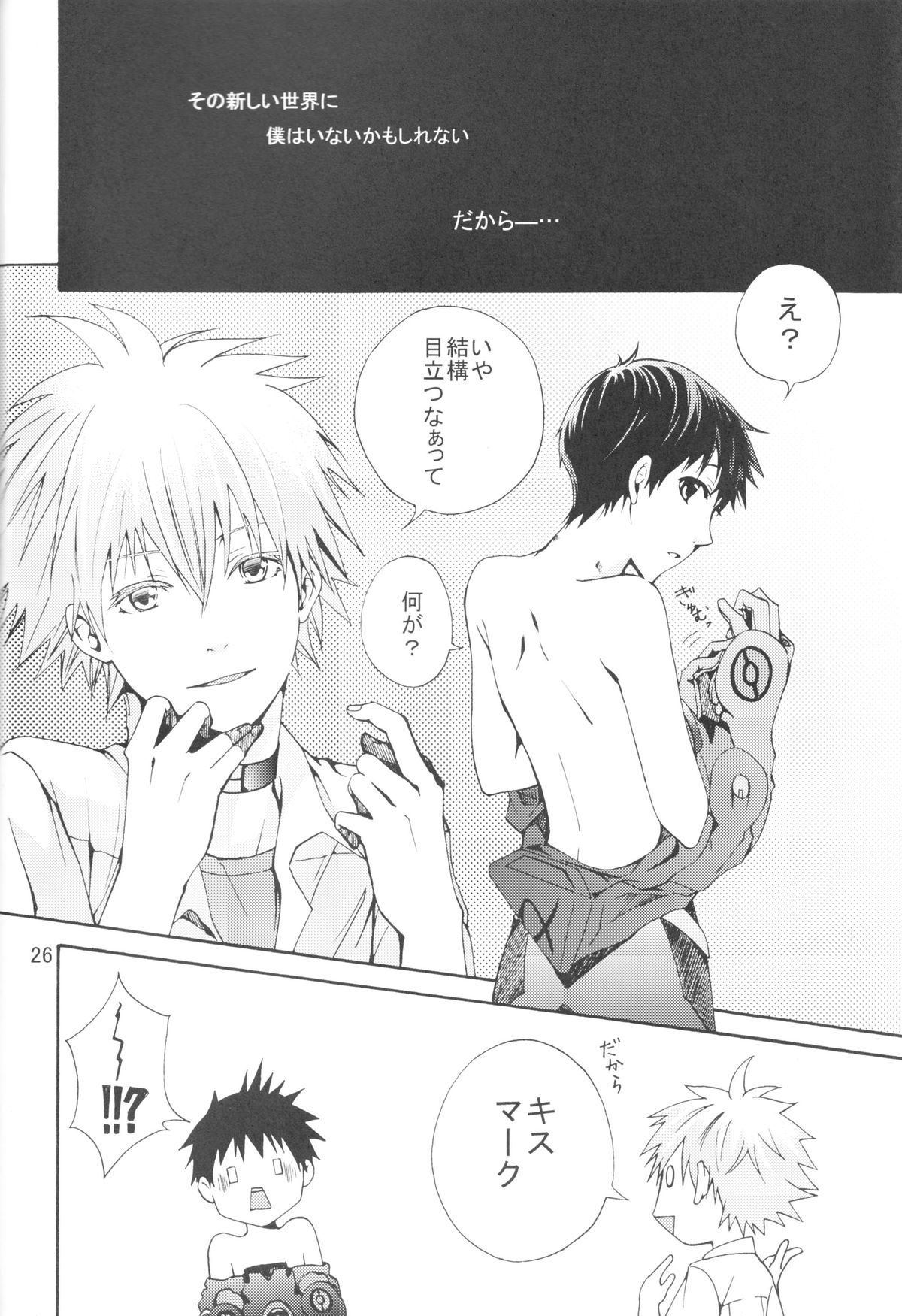 (C83) [プラリネ (鈴鳴なつる)] Nr.9 (新世紀エヴァンゲリオン)