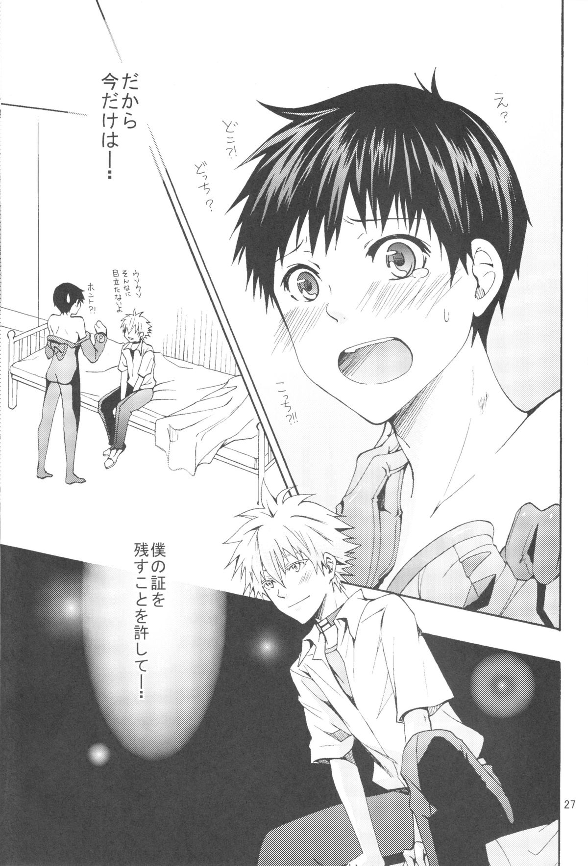 (C83) [プラリネ (鈴鳴なつる)] Nr.9 (新世紀エヴァンゲリオン)