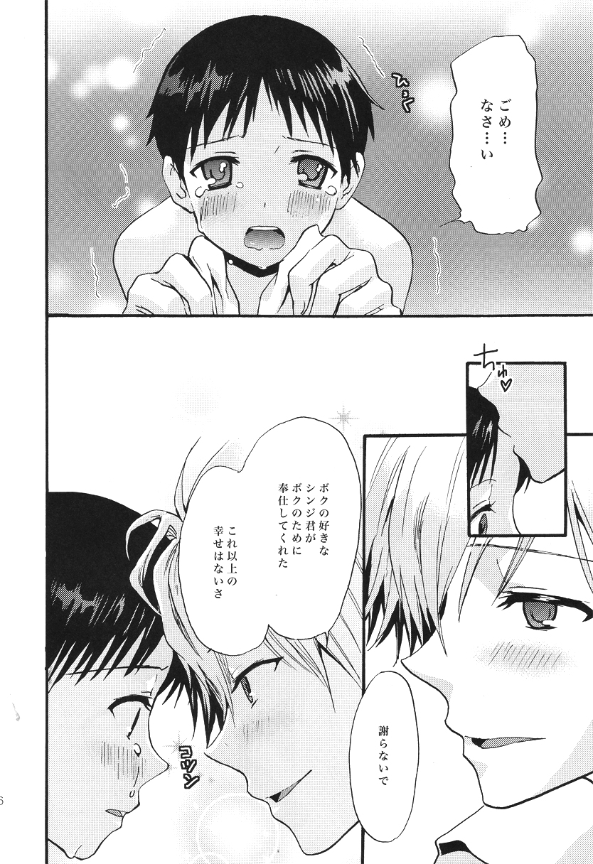 (C79) [RAYTREC (冬凪れく)] Service works (新世紀エヴァンゲリオン)