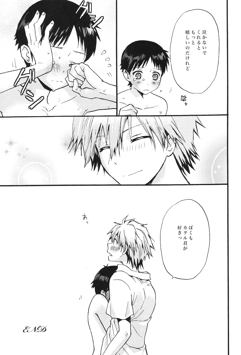 (C79) [RAYTREC (冬凪れく)] Service works (新世紀エヴァンゲリオン)