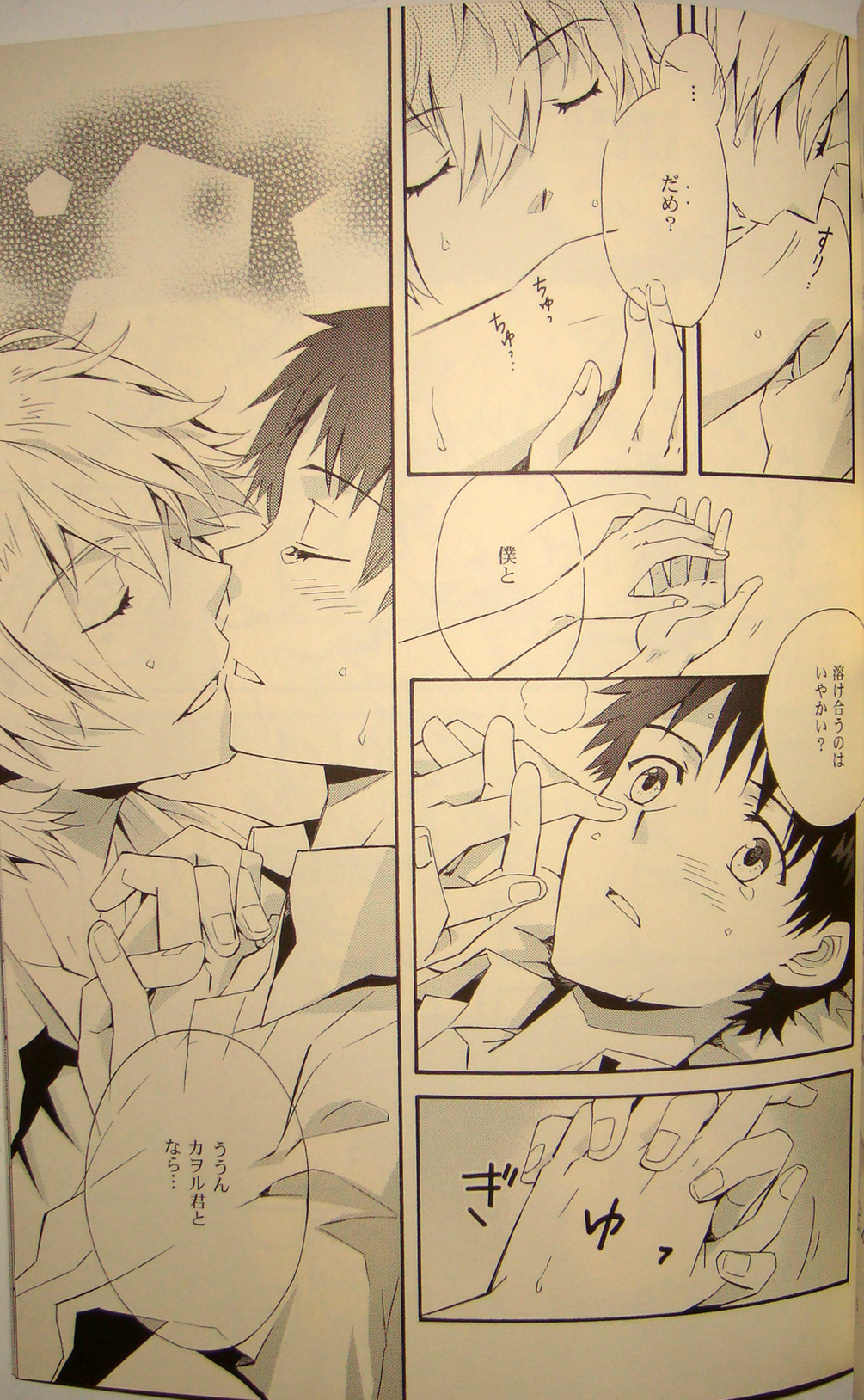 [夜空色落書き]夢のつづき[新世紀エヴァンゲリオン] [やおい]