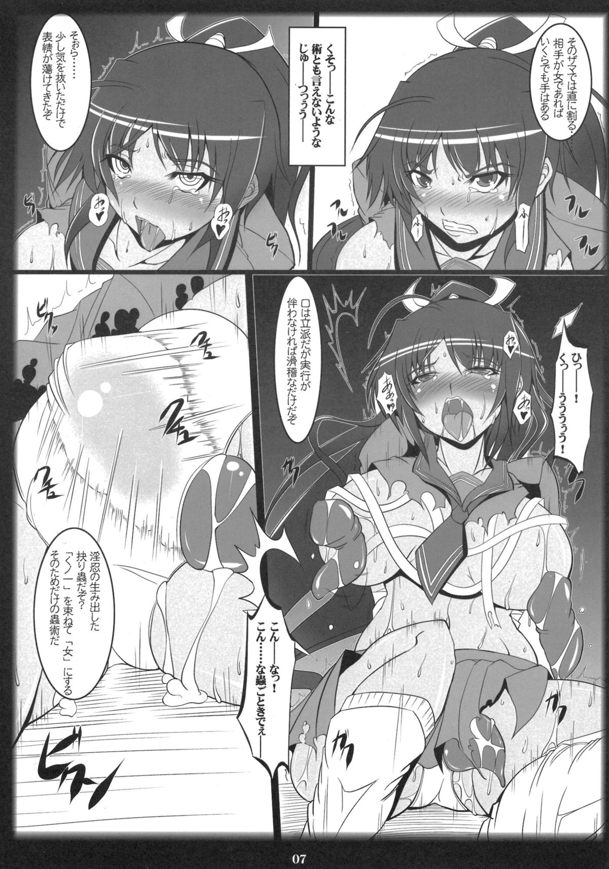 (C81) [片耳豚 (寒衣屋)] 閃乱焔淫闘帳 (閃乱カグラ)
