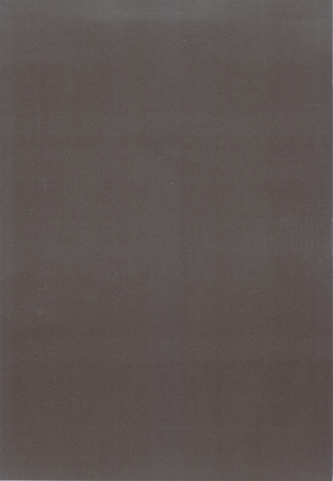 (C83) [河童屋 (勝手に河童)] ニセモノ 2 (ニセコイ)