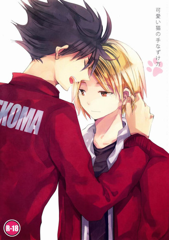 (IDLING ATTACKER) [octo (はち)] 可愛い猫の手なずけ方 (ハイキュー!!)