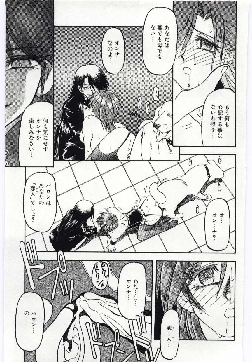 [山文京伝] Sein -ザイン-