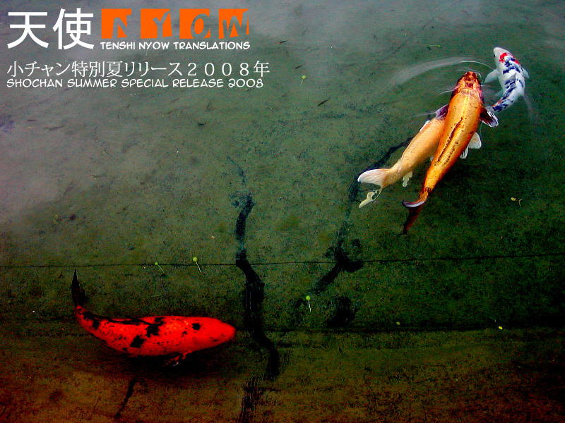 【こけこっこ駒】雨の日【英語】