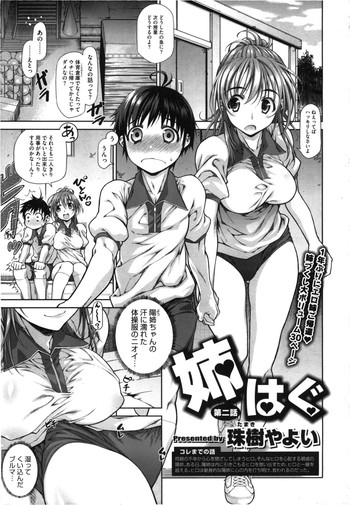 [珠樹やよい] 姉はぐ #02 (コミック メガストア 2012年09月号)