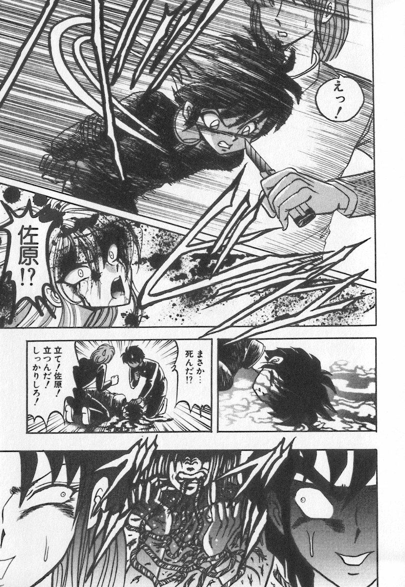 [鰤てり] 虎穴コケツ