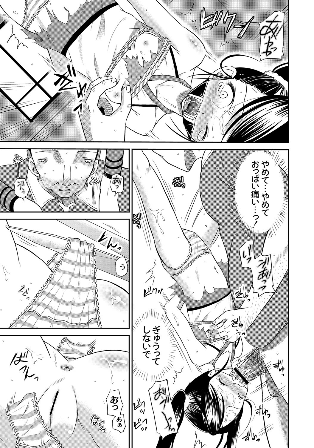[アンソロジー] PLUM LS 09 [2012-09-28] [DL版]