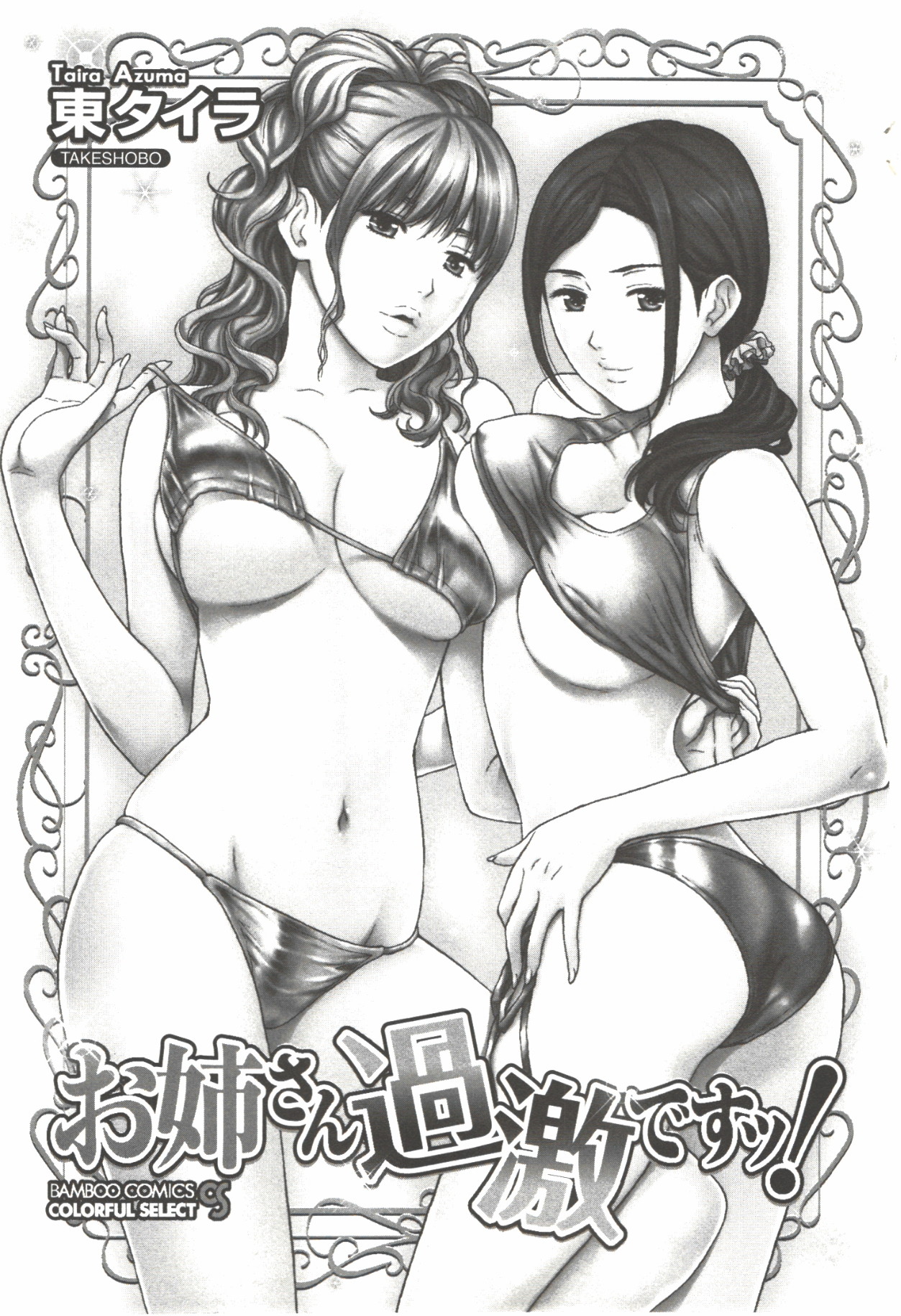 [東タイラ] お姉さん過激ですッ!