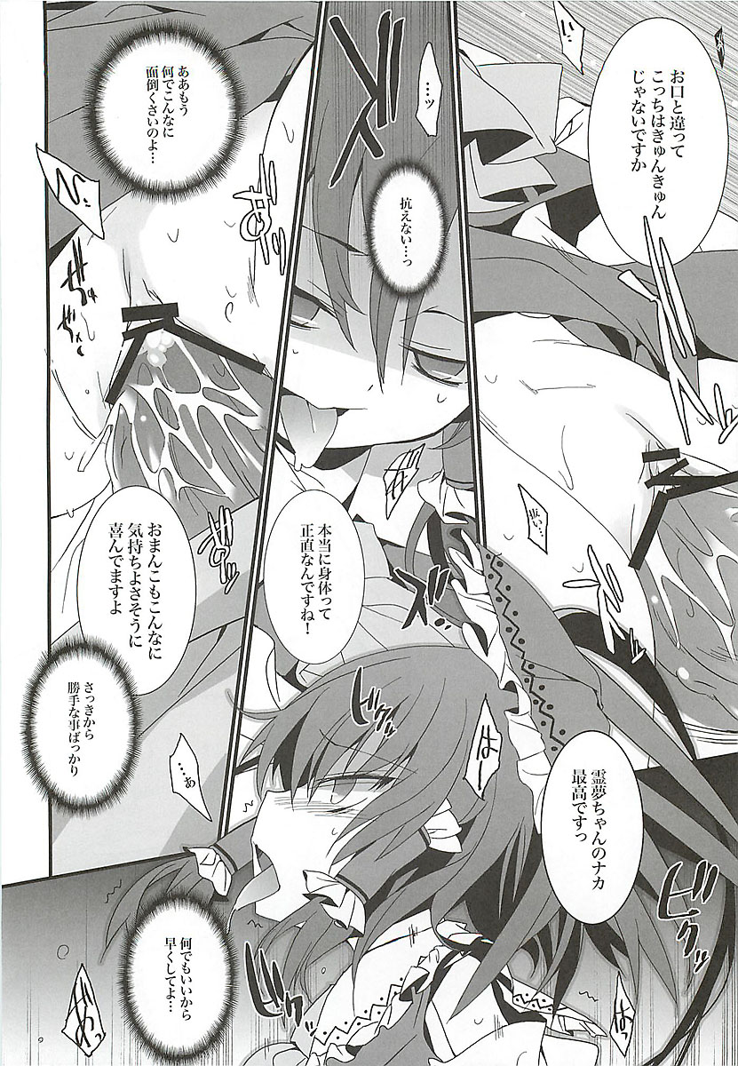 (例大祭9) [とりあえず(仮) (とろろ)] 雷獣さんのお陰でした (東方Project)