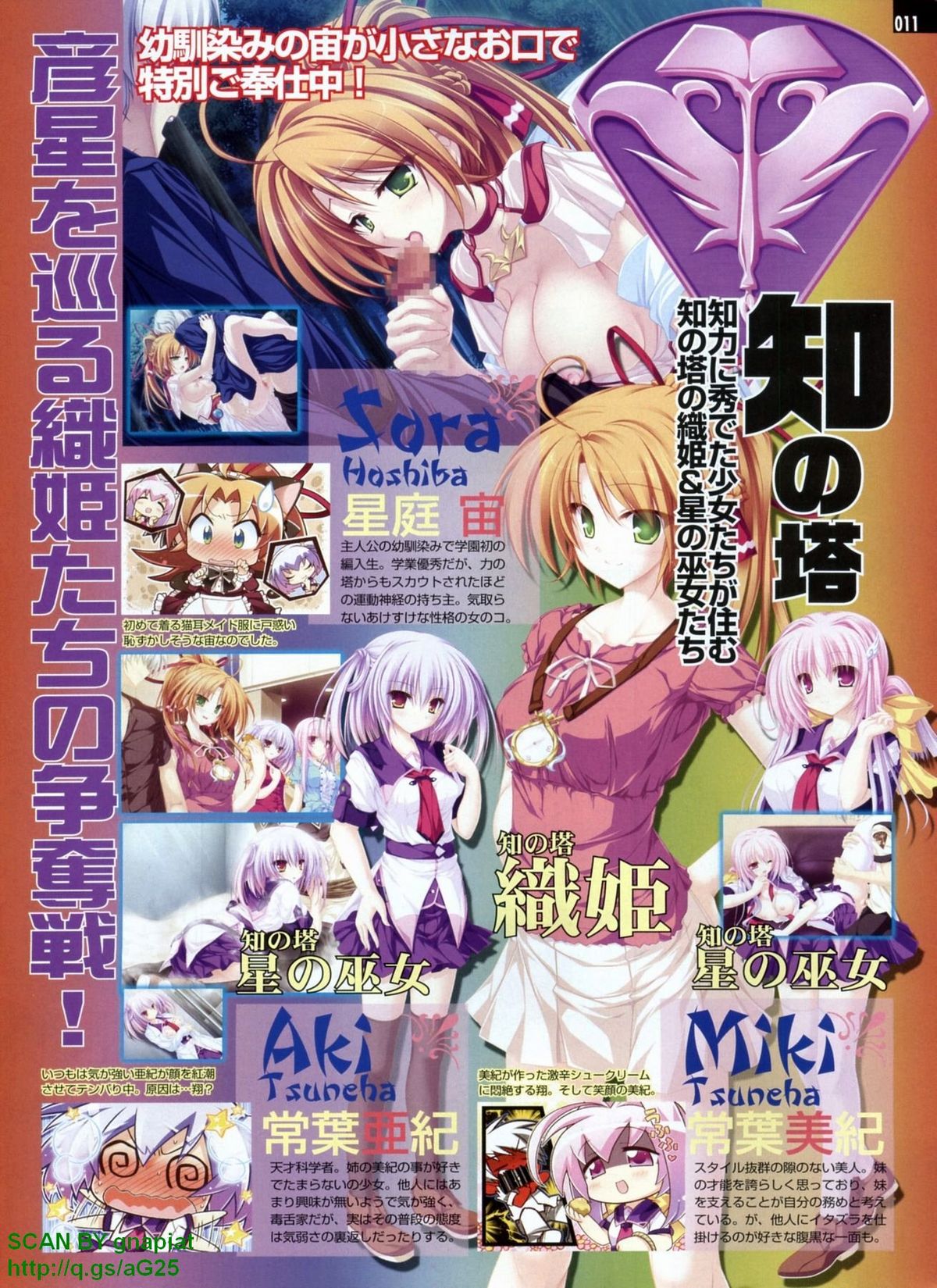 パソコンパラダイス 2009年8月号 Vol.207