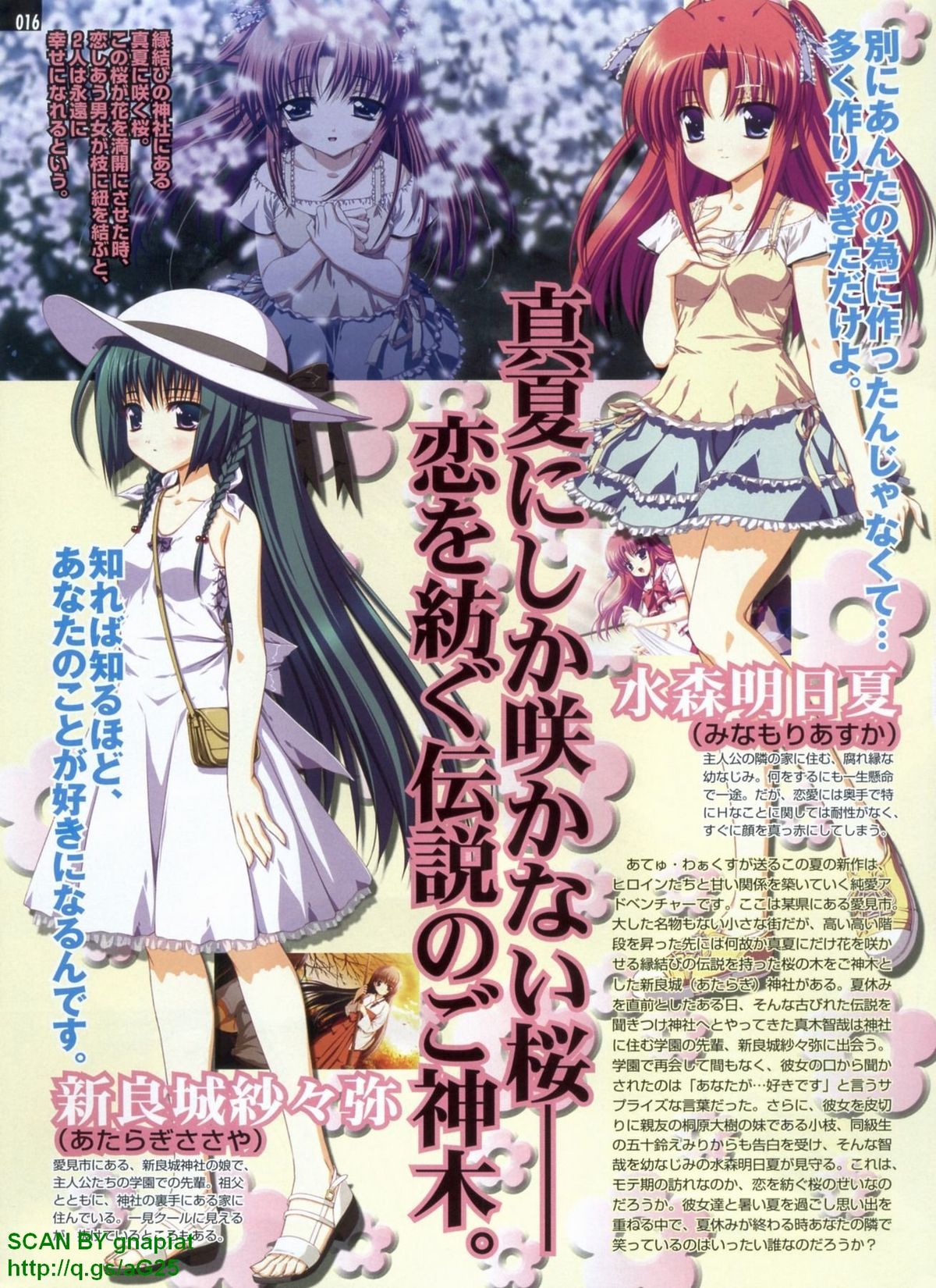 パソコンパラダイス 2009年8月号 Vol.207