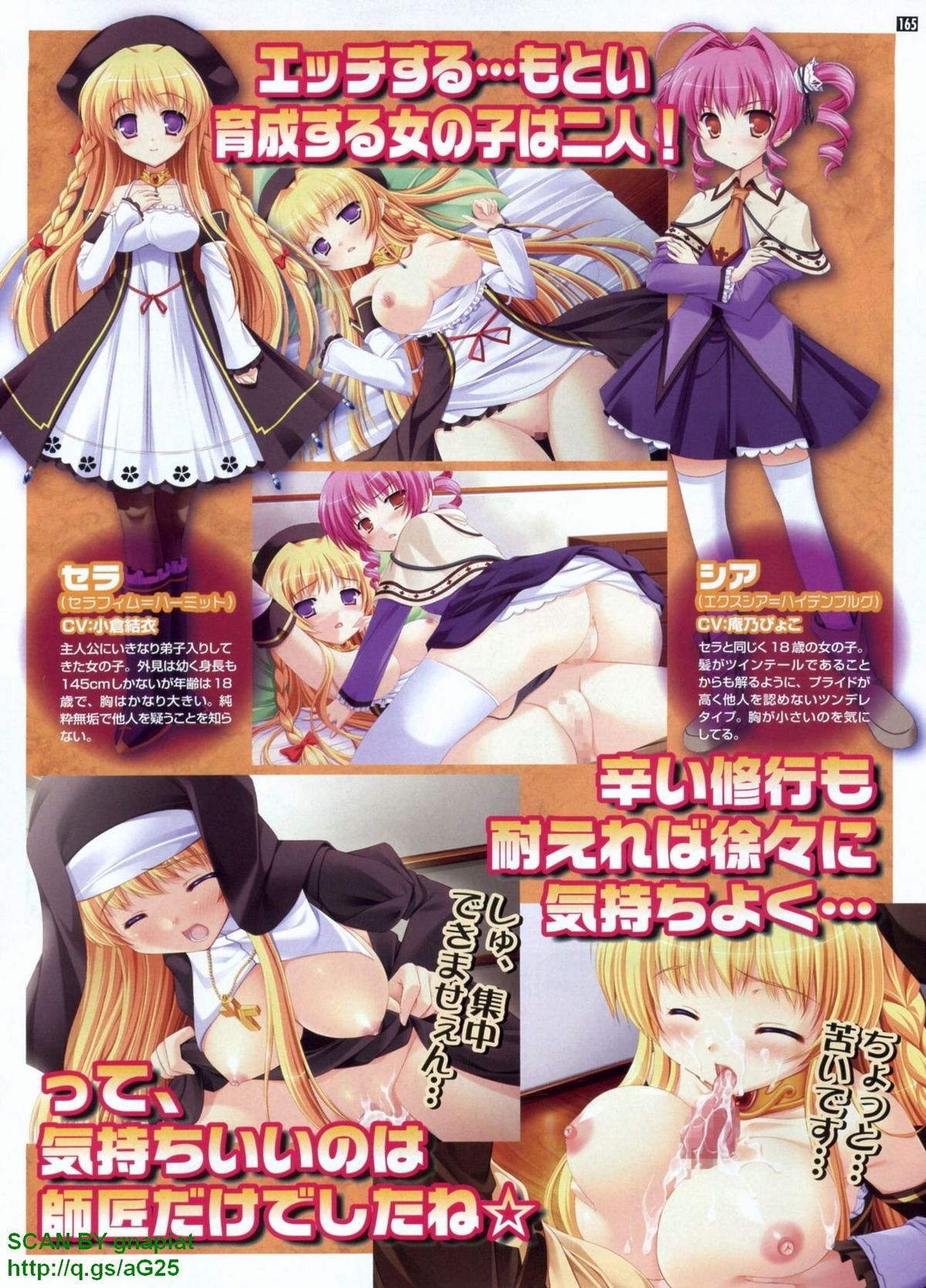 パソコンパラダイス 2009年8月号 Vol.207