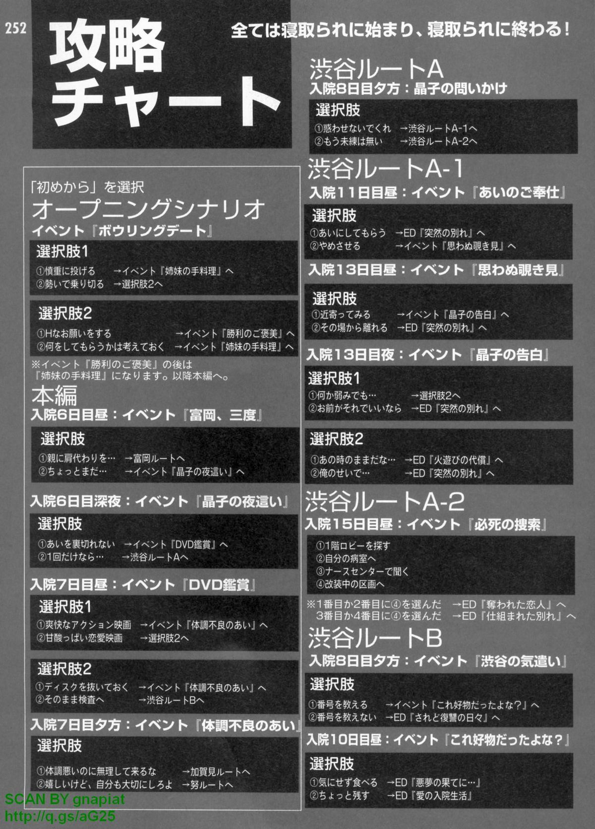 パソコンパラダイス 2009年8月号 Vol.207