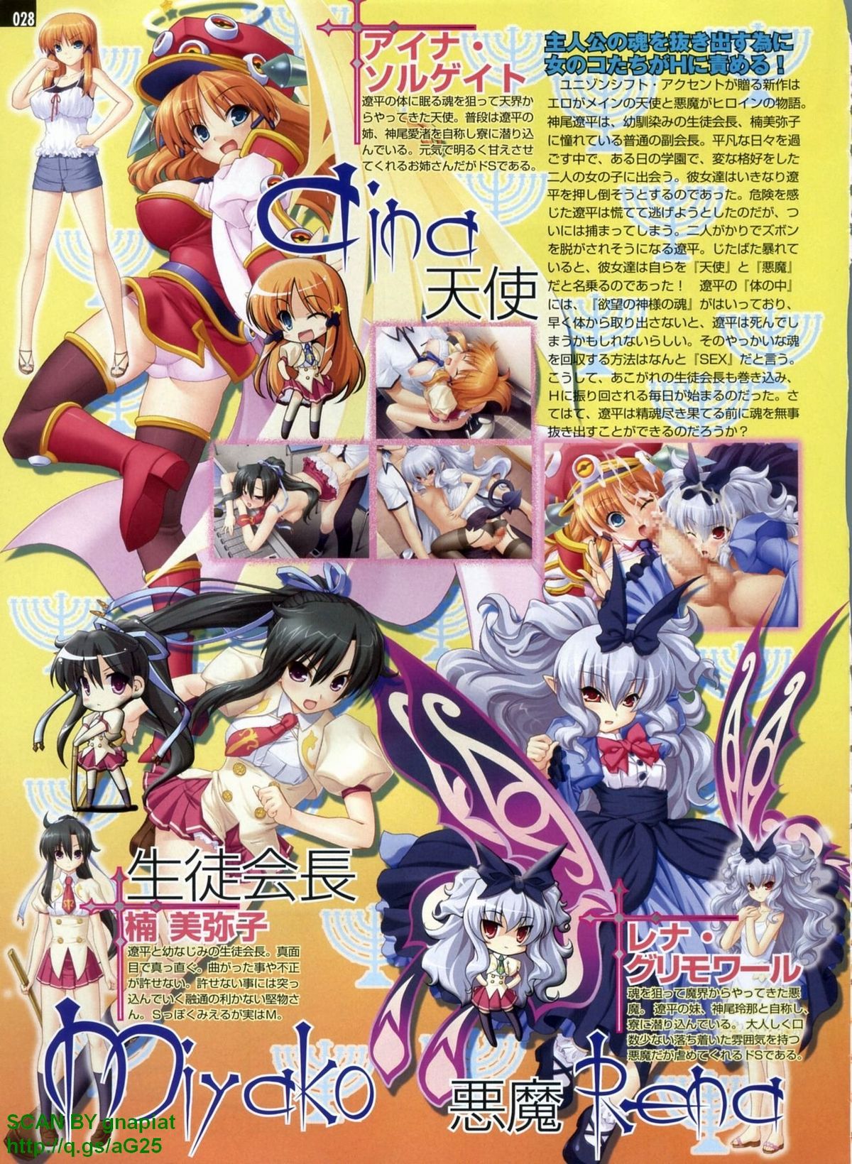 パソコンパラダイス 2009年8月号 Vol.207