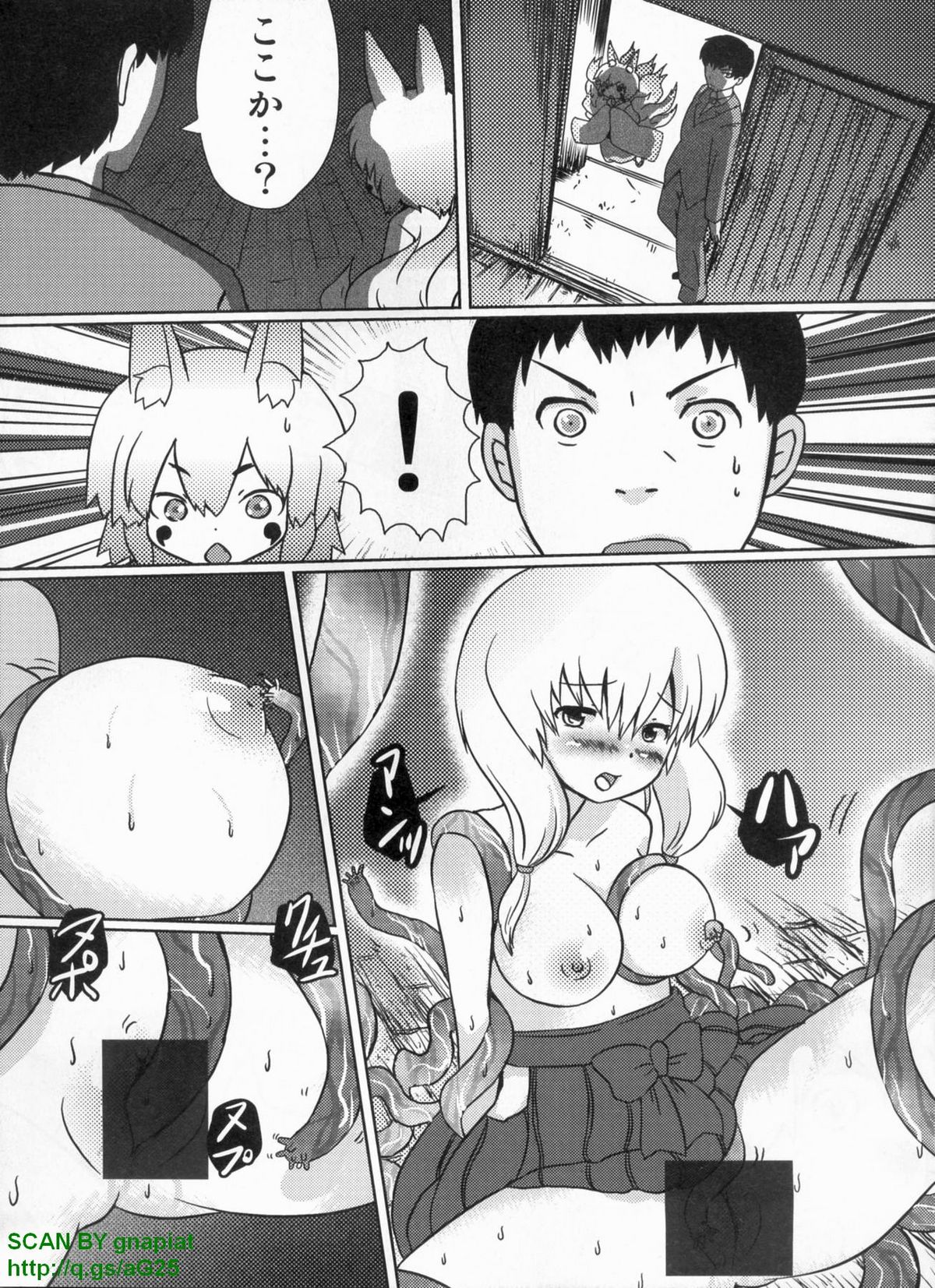 パソコンパラダイス 2009年8月号 Vol.207