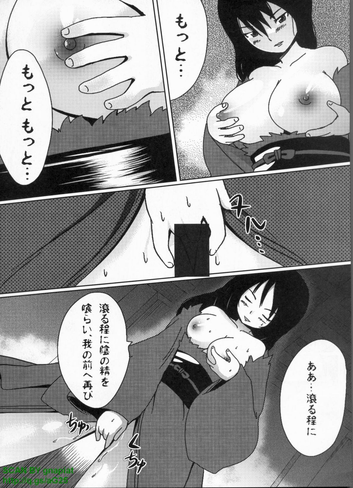 パソコンパラダイス 2009年8月号 Vol.207