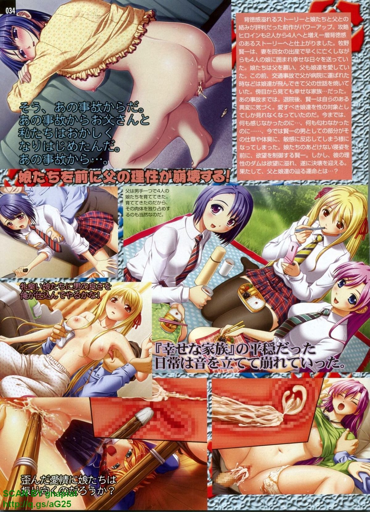 パソコンパラダイス 2009年8月号 Vol.207