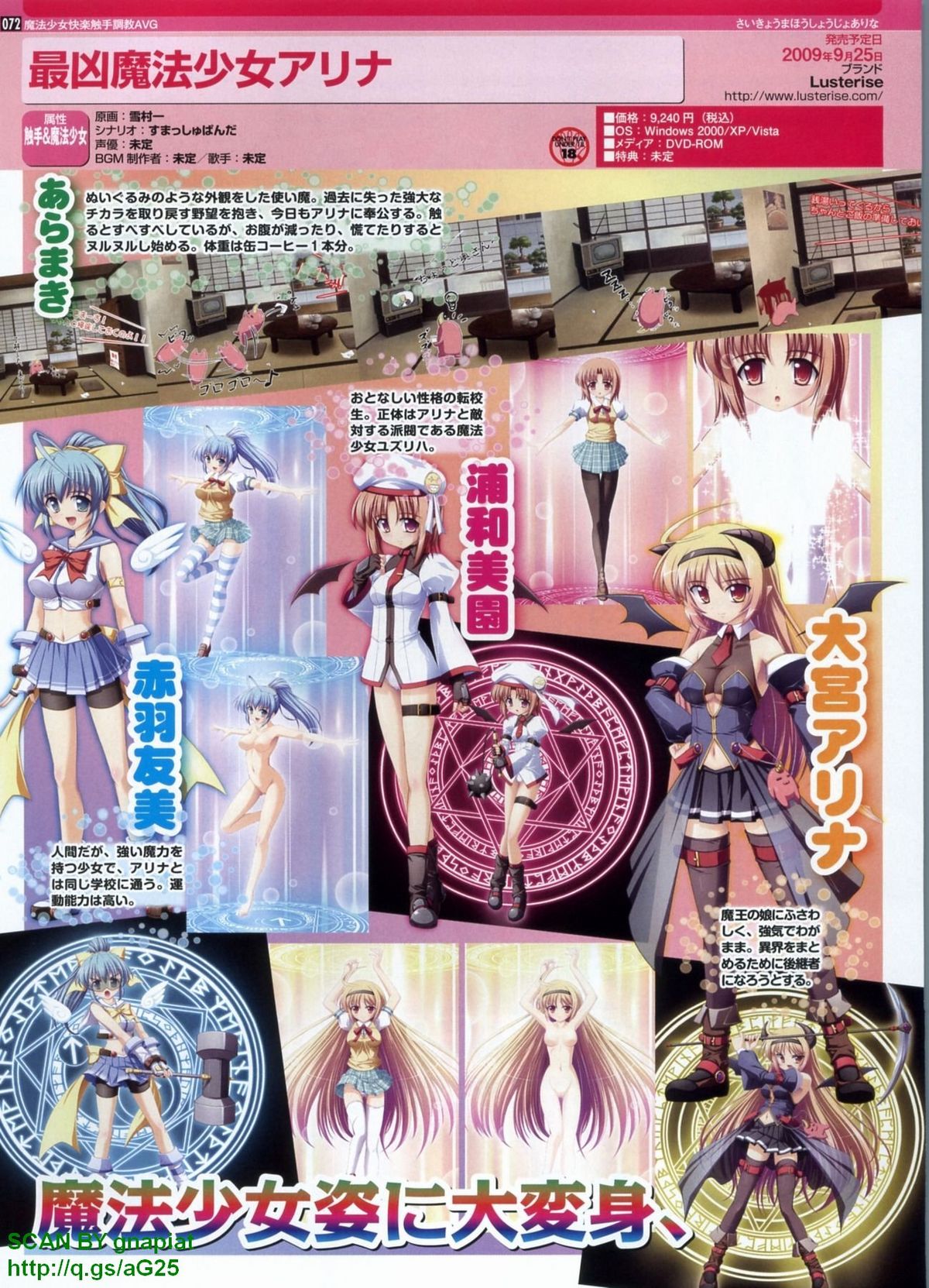 パソコンパラダイス 2009年8月号 Vol.207