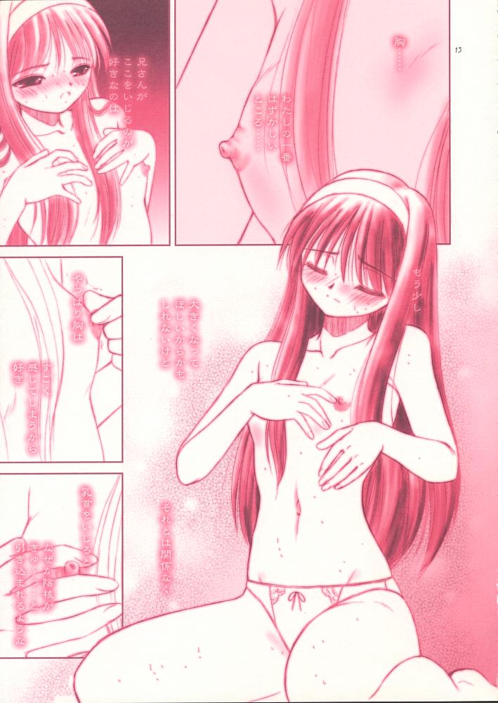 (C60) [ディエップ工房 (アルピーヌ、鳴瀬ひろふみ)] 紅 RED (月姫)