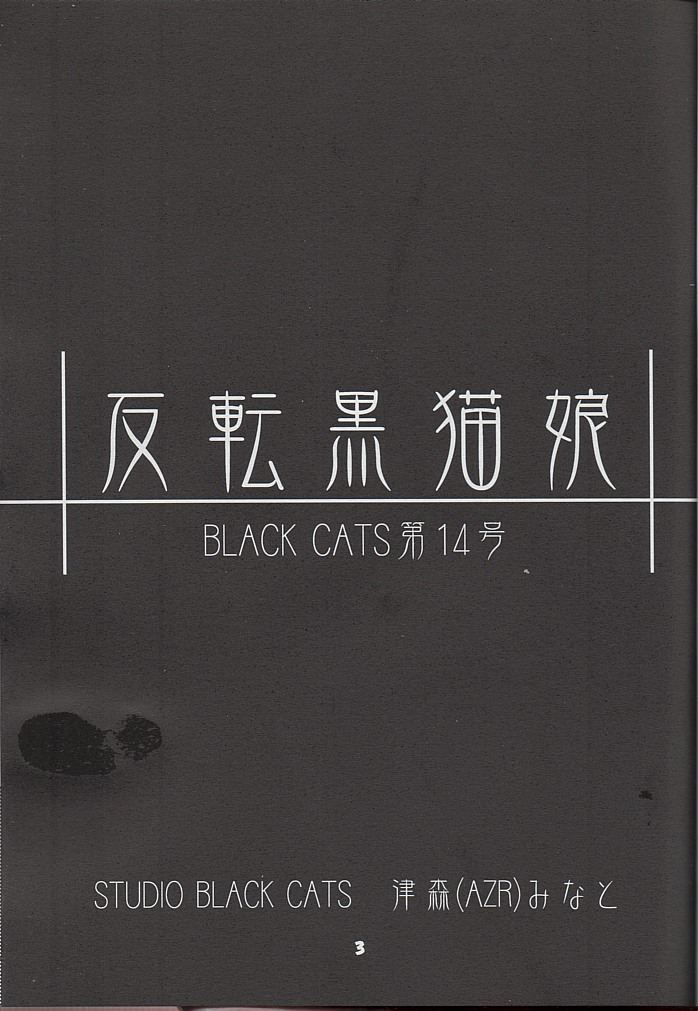 [STUDIO BLACK CATS (津森(AZR)みなと)] BLACK CATS第14号 反転黒猫娘 (月姫)