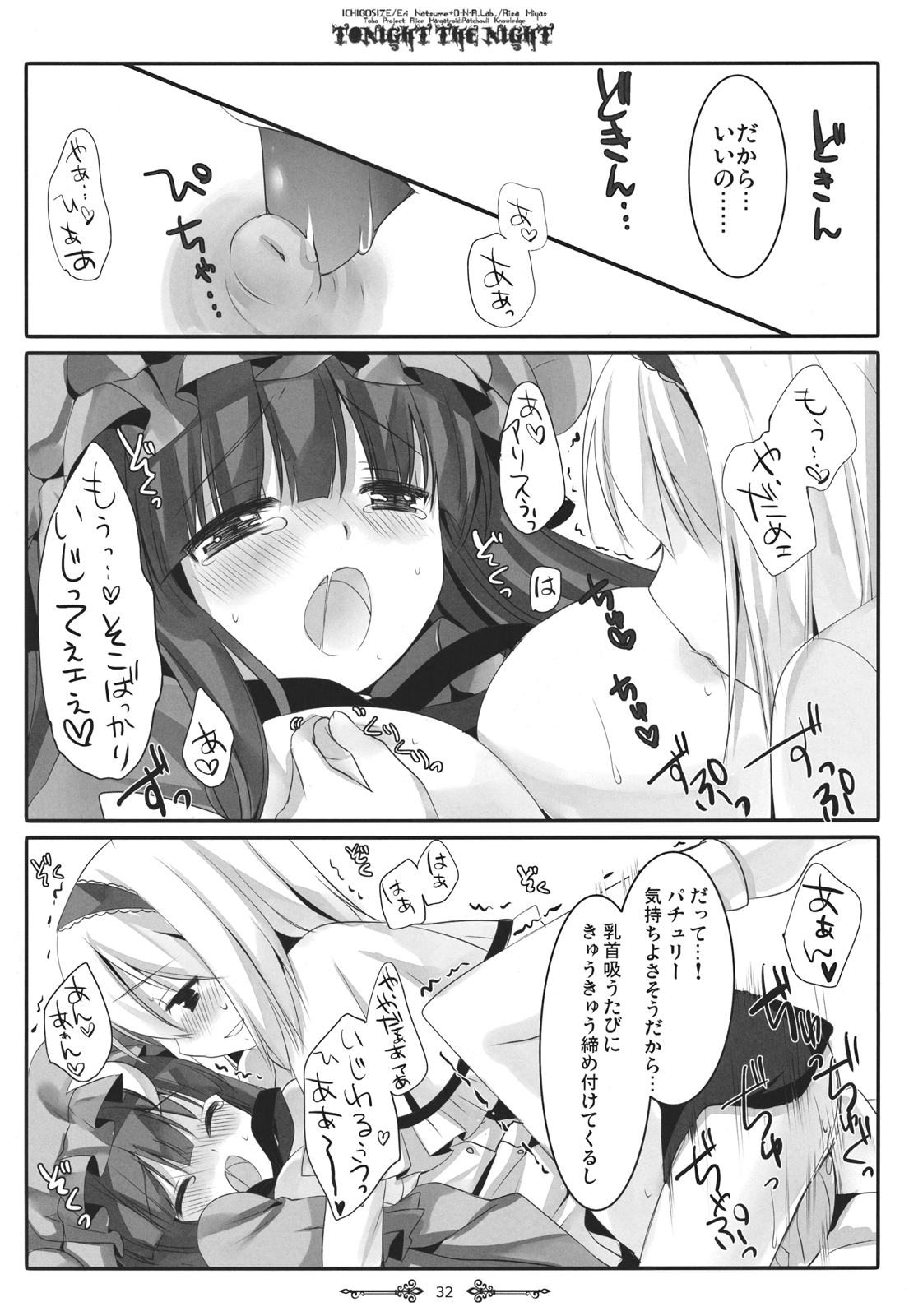 (例大祭9) [D・N・A.Lab., いちごさいず (ミヤスリサ, なつめえり)] Tonight The Night (東方Project)