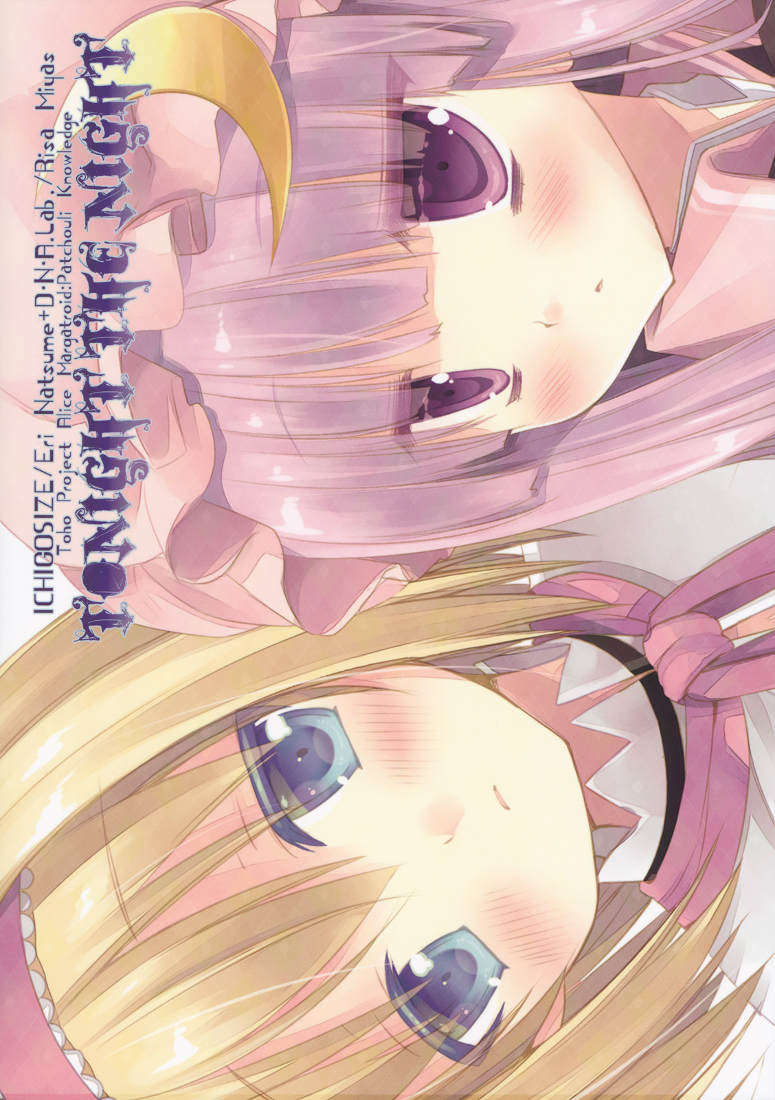 (例大祭9) [D・N・A.Lab., いちごさいず (ミヤスリサ, なつめえり)] Tonight The Night (東方Project)