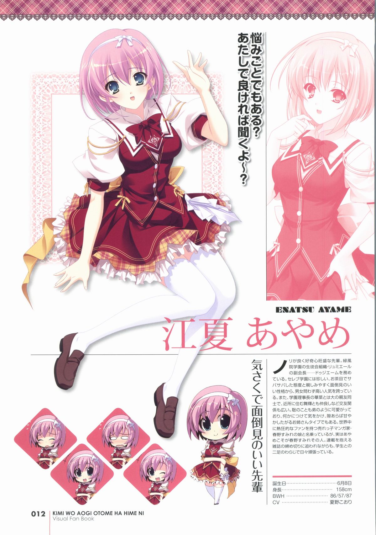 君を仰ぎ乙女は姫にビジュアルファンブック