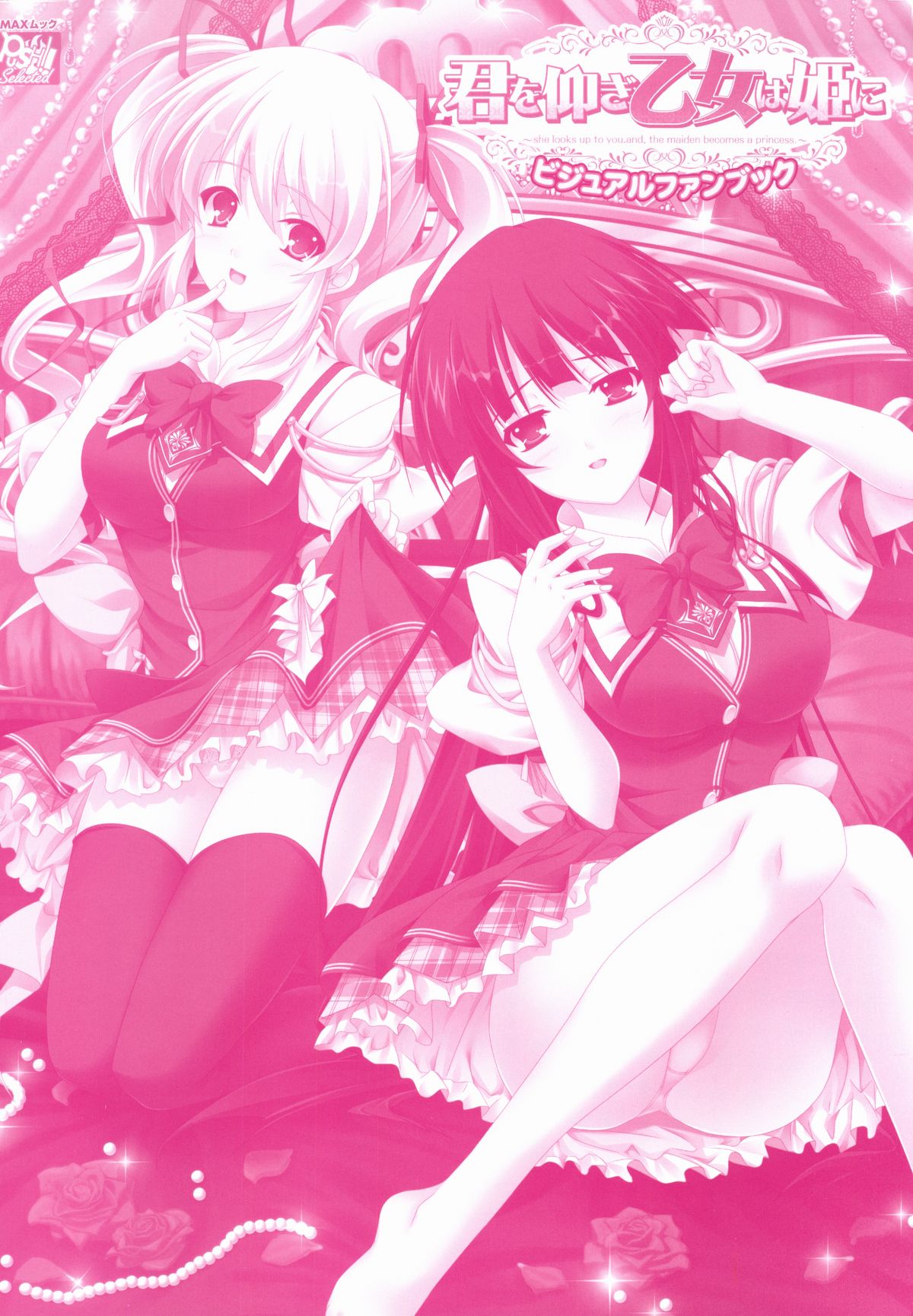 君を仰ぎ乙女は姫にビジュアルファンブック