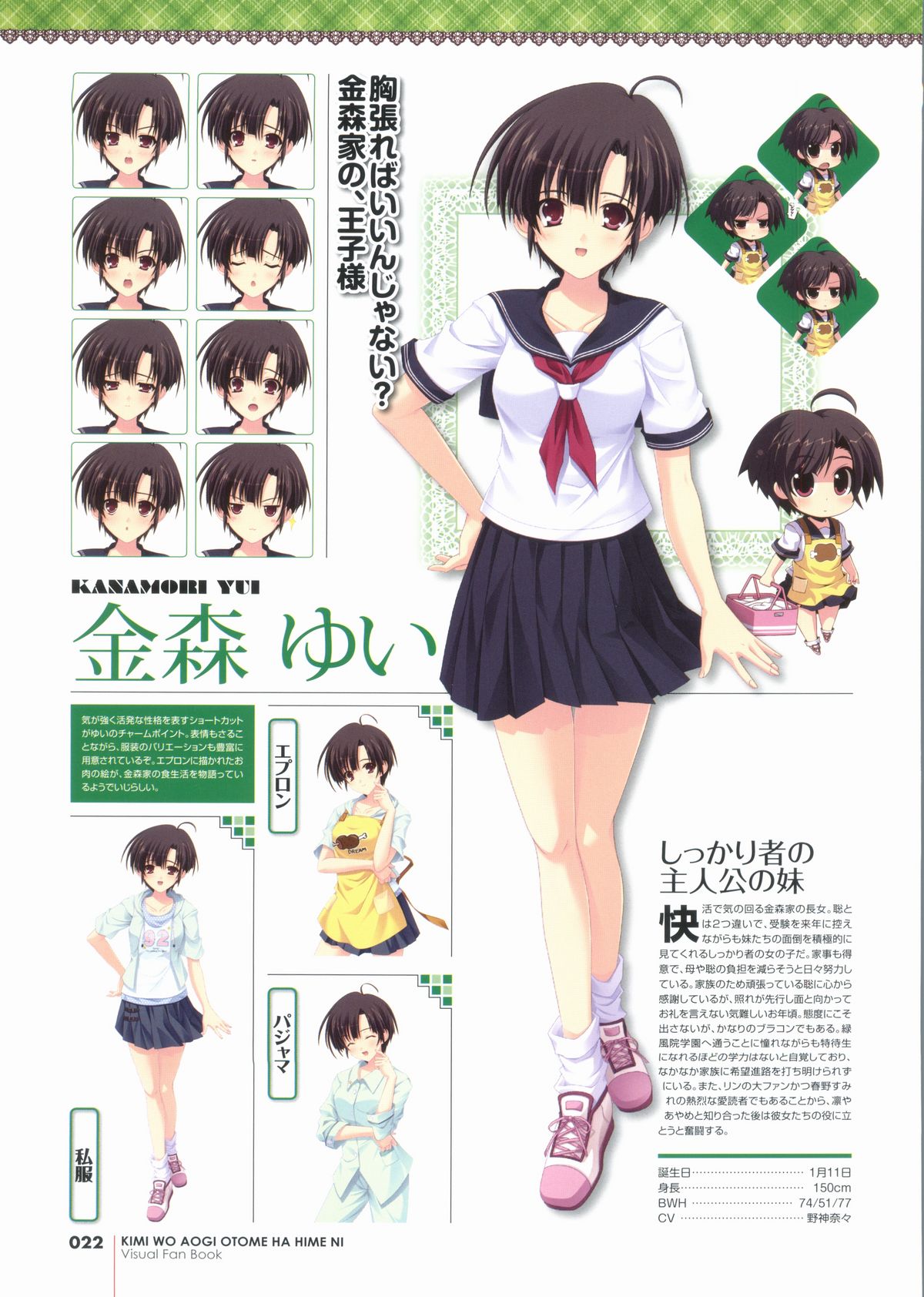 君を仰ぎ乙女は姫にビジュアルファンブック