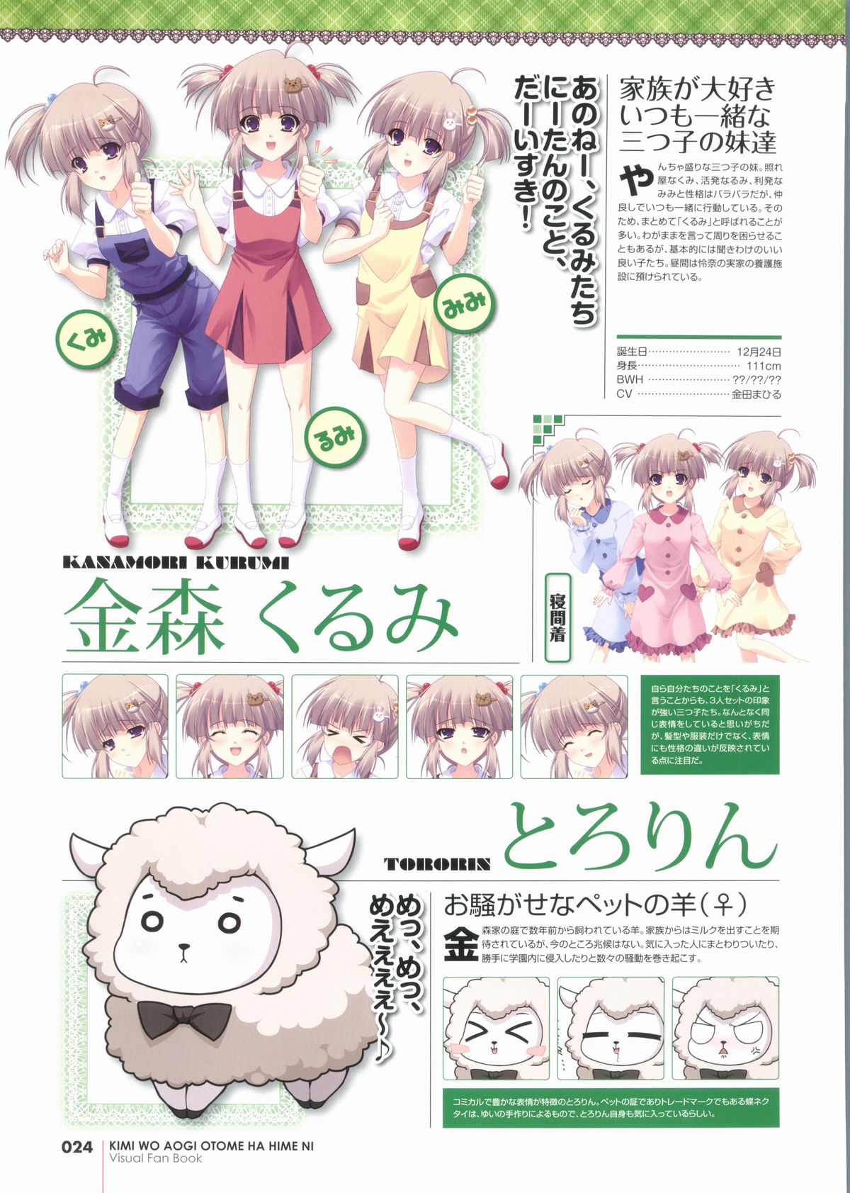 君を仰ぎ乙女は姫にビジュアルファンブック