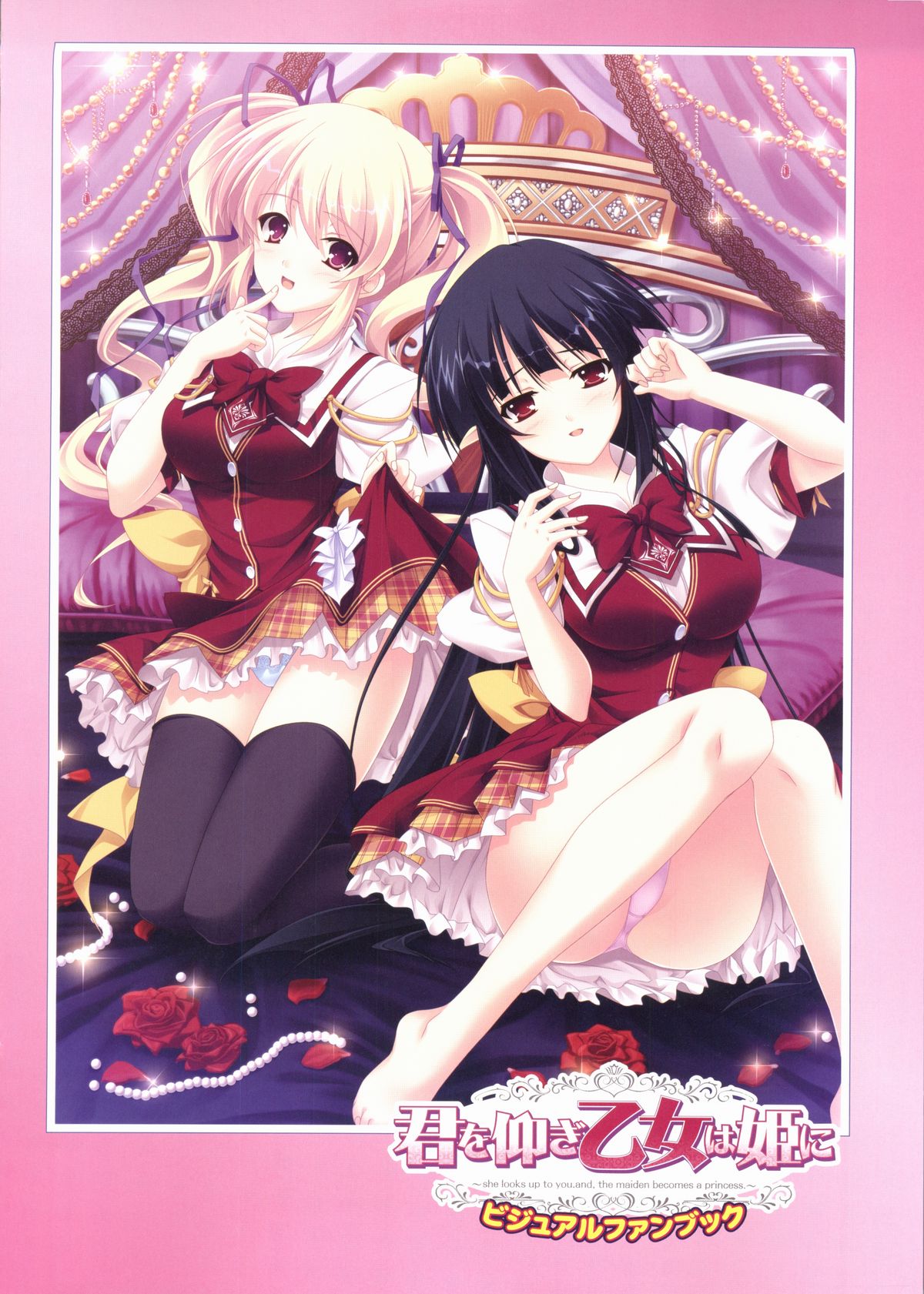 君を仰ぎ乙女は姫にビジュアルファンブック