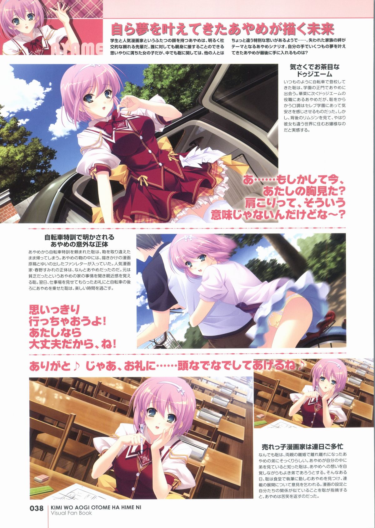 君を仰ぎ乙女は姫にビジュアルファンブック